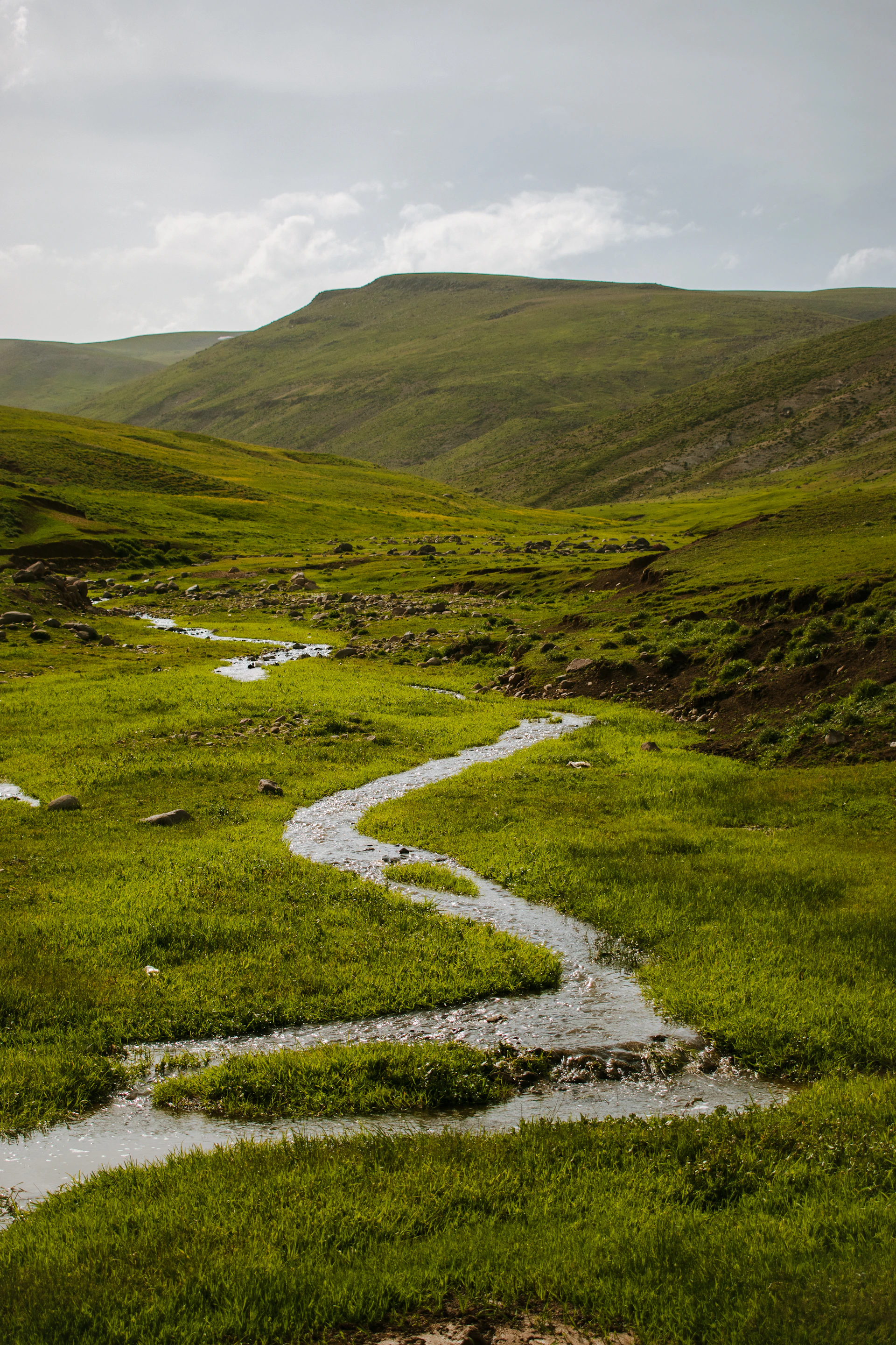 a stream running through a lush green valley