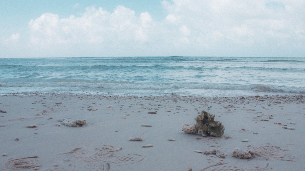 a sandy beach with waves coming in to shore