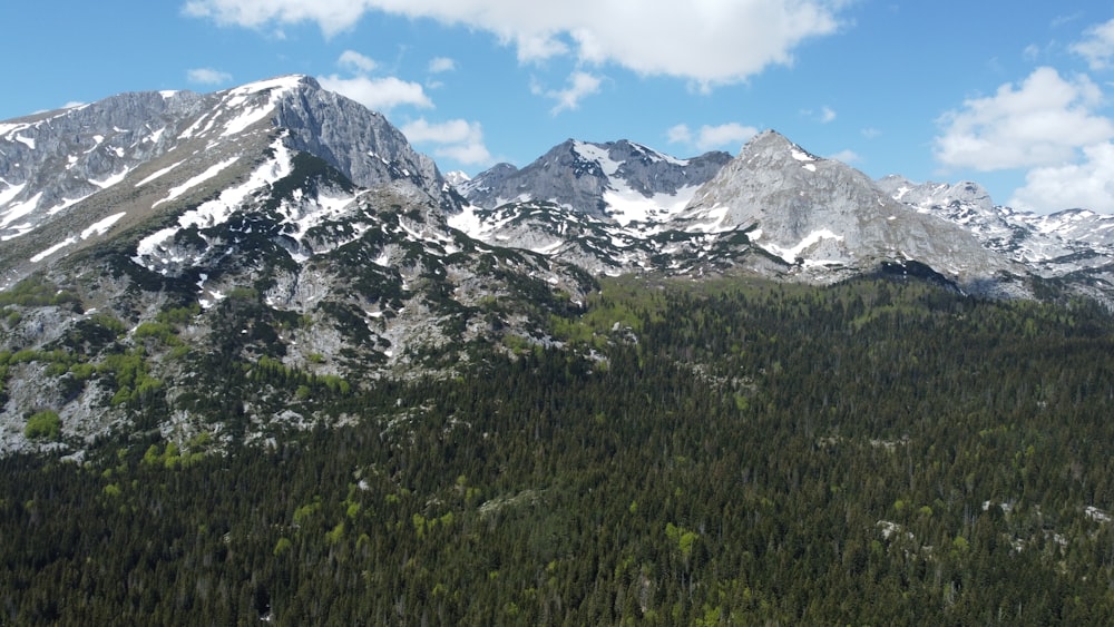 the mountains are covered in snow and green trees