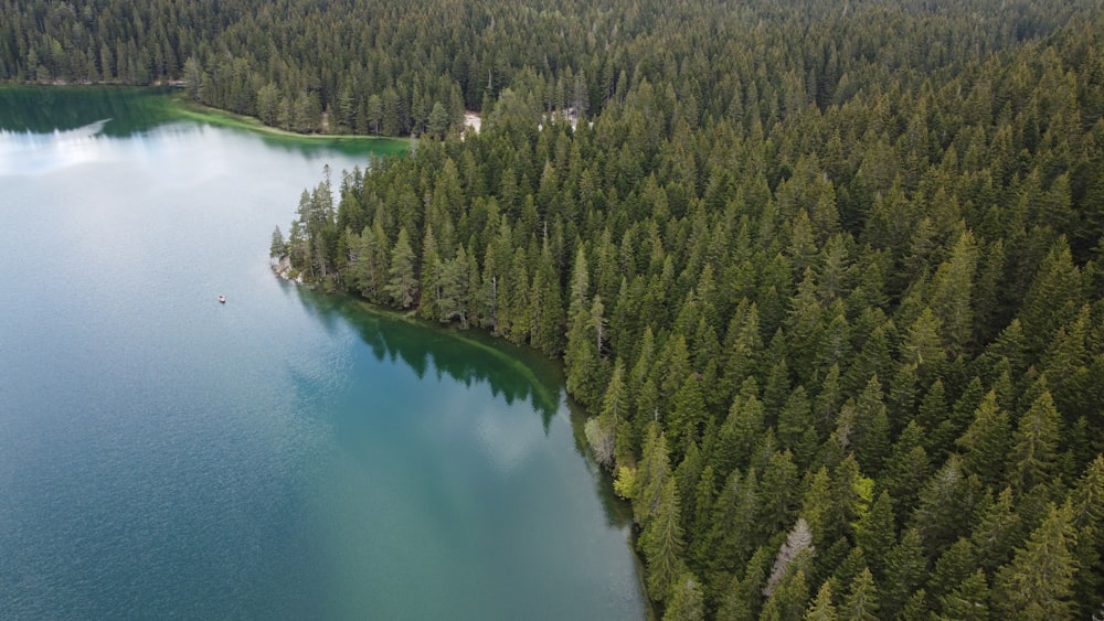 un grande specchio d'acqua circondato da alberi