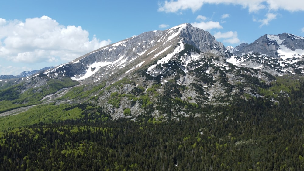 una vista di una catena montuosa con alberi e montagne sullo sfondo