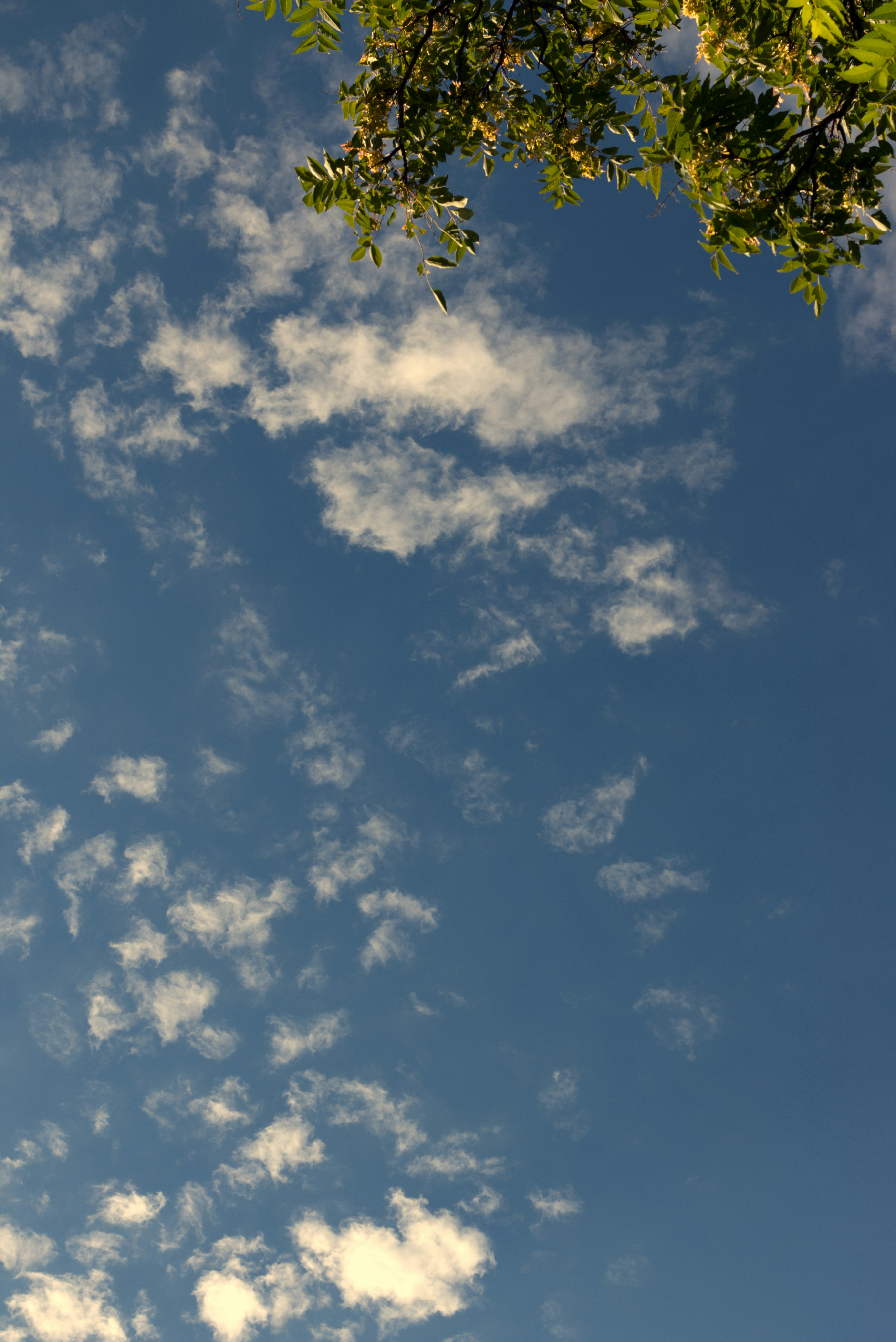 Photo by kelsymichael