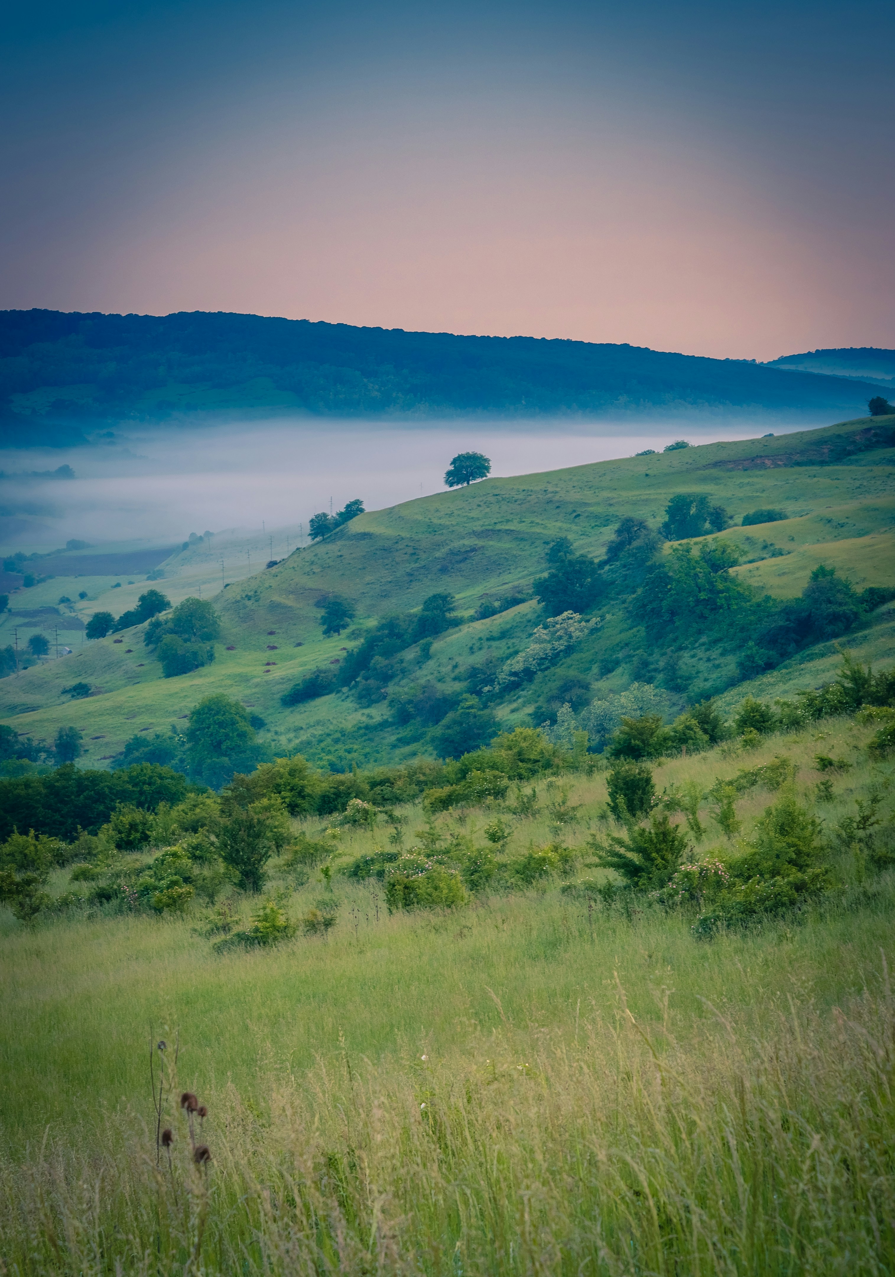 countryside