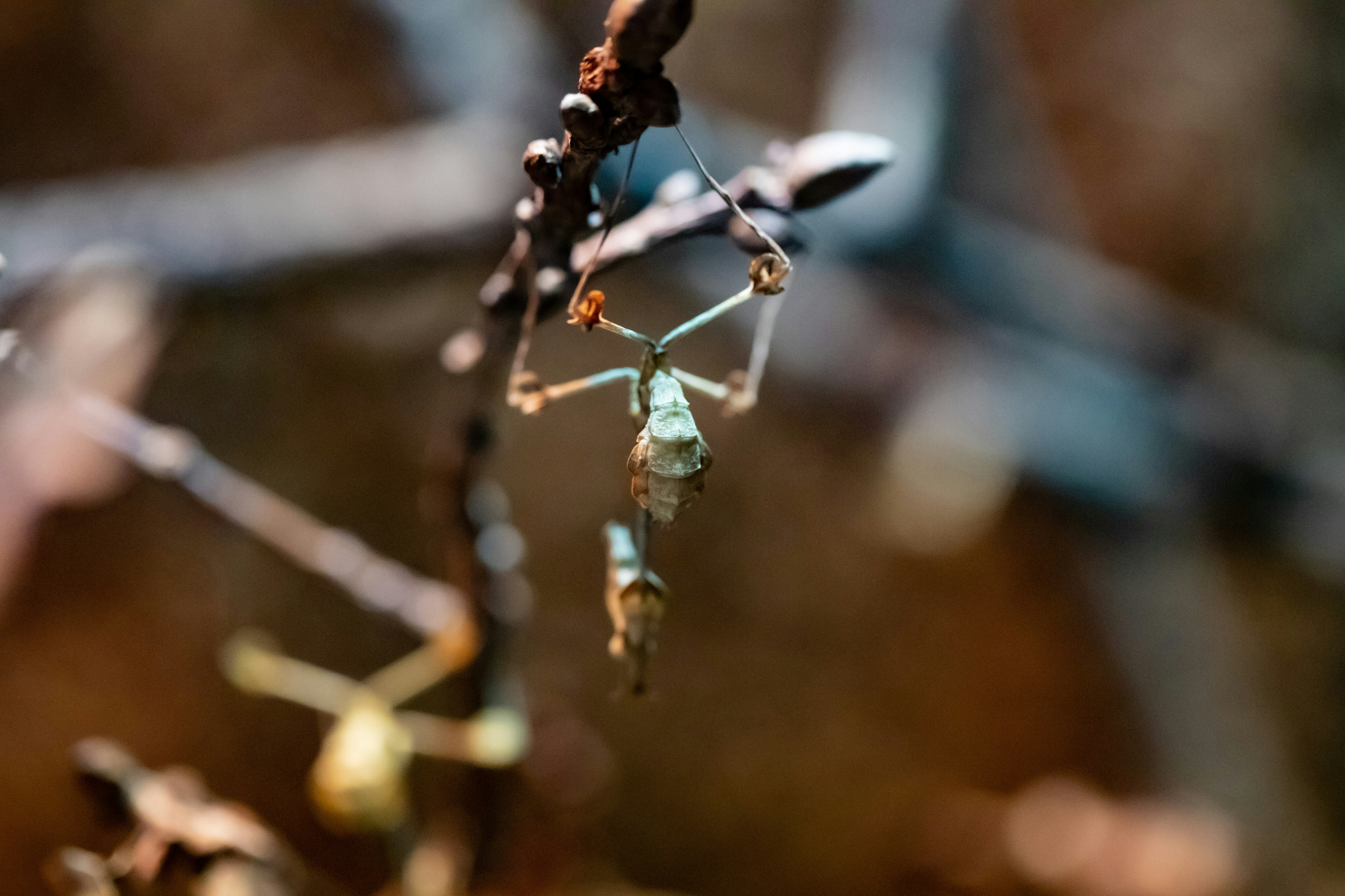 Photo by supardisign