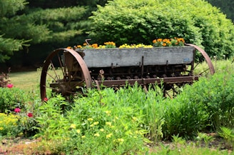 An old rusted farm implement serves as a planter in a garden. It is filled with bright orange and yellow flowers, surrounded by lush green foliage. The background features dense trees and shrubs, creating a serene and natural setting.