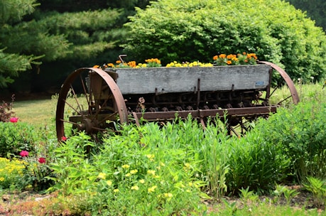 An old rusted farm implement serves as a planter in a garden. It is filled with bright orange and yellow flowers, surrounded by lush green foliage. The background features dense trees and shrubs, creating a serene and natural setting.