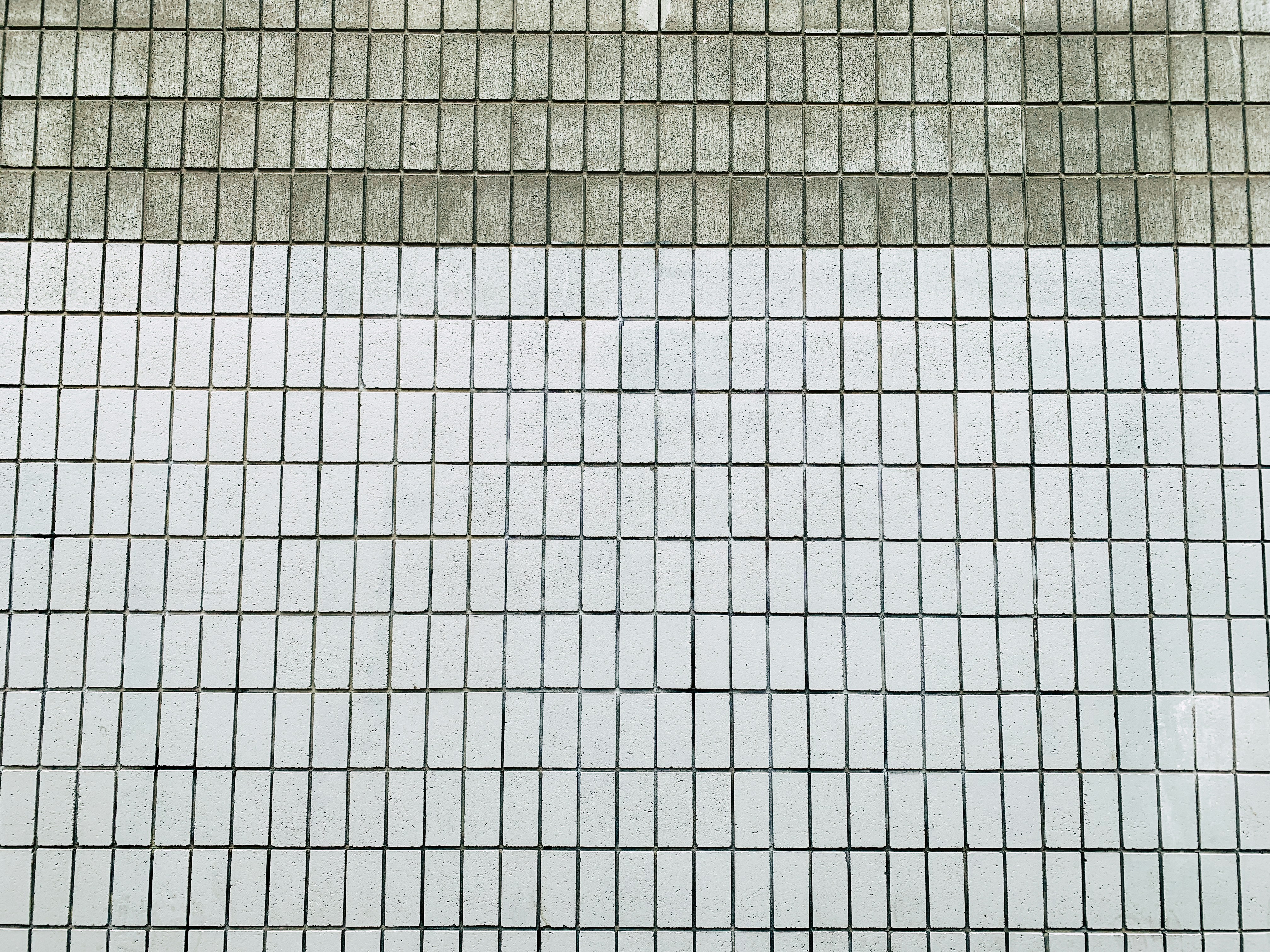 Photo by kolbymilton