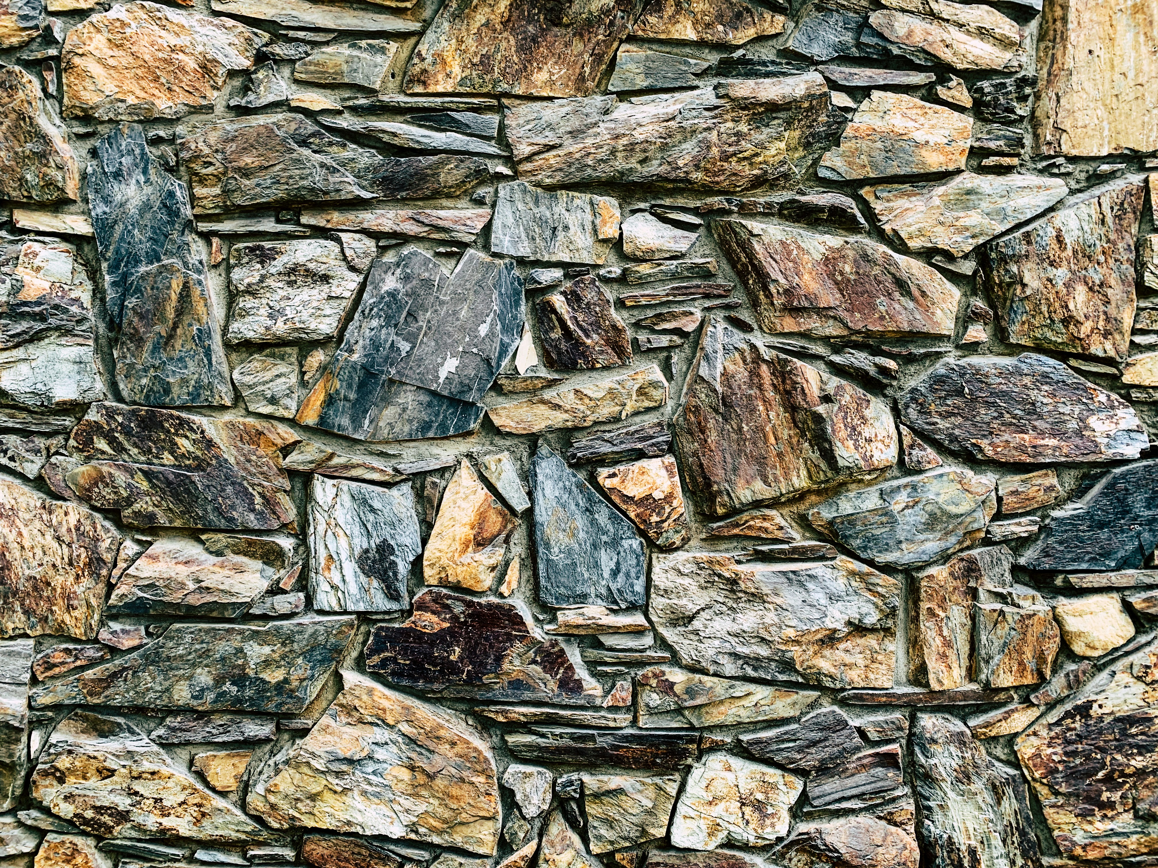 Photo by kolbymilton