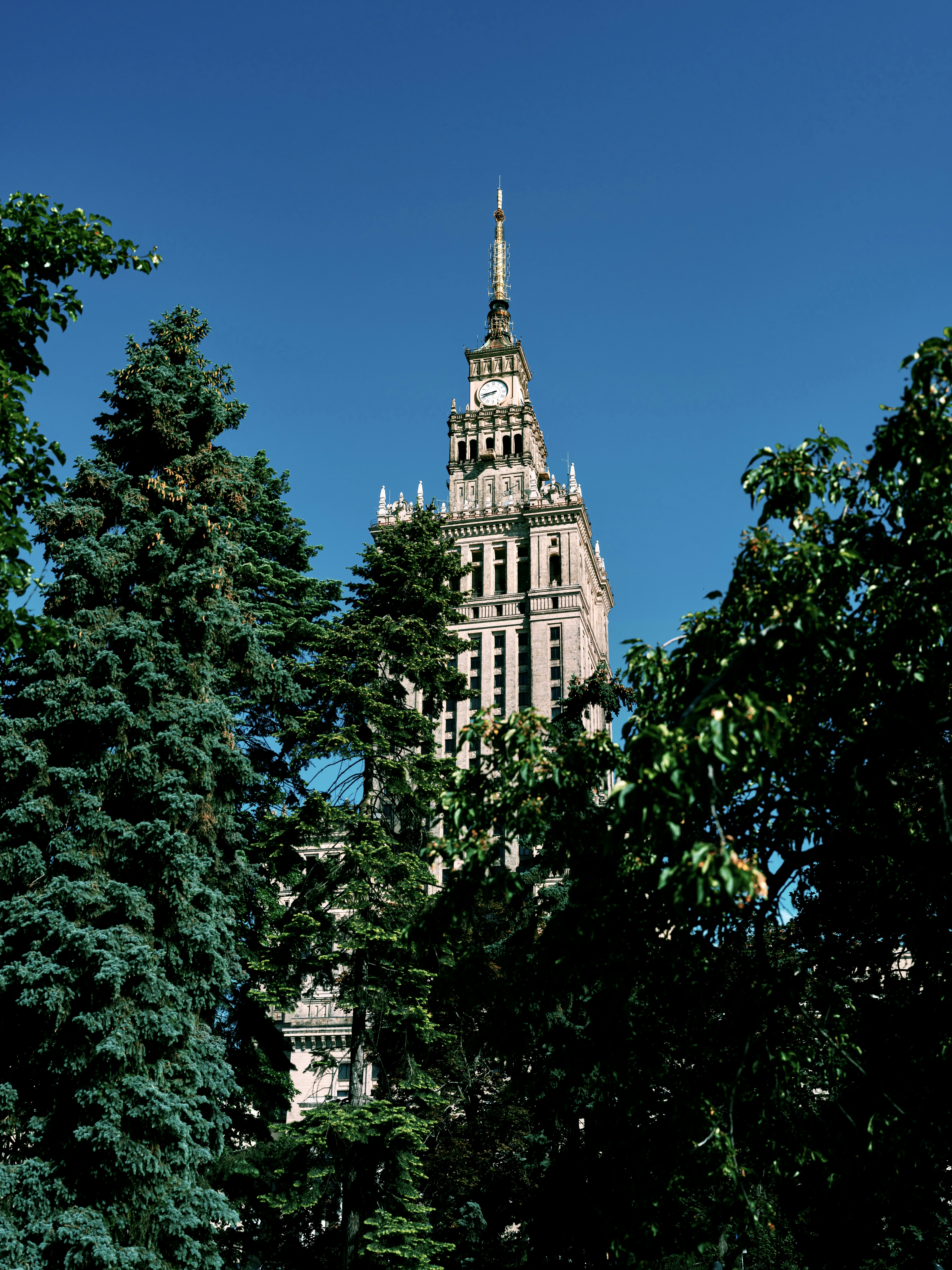 Photo by egorkomarov