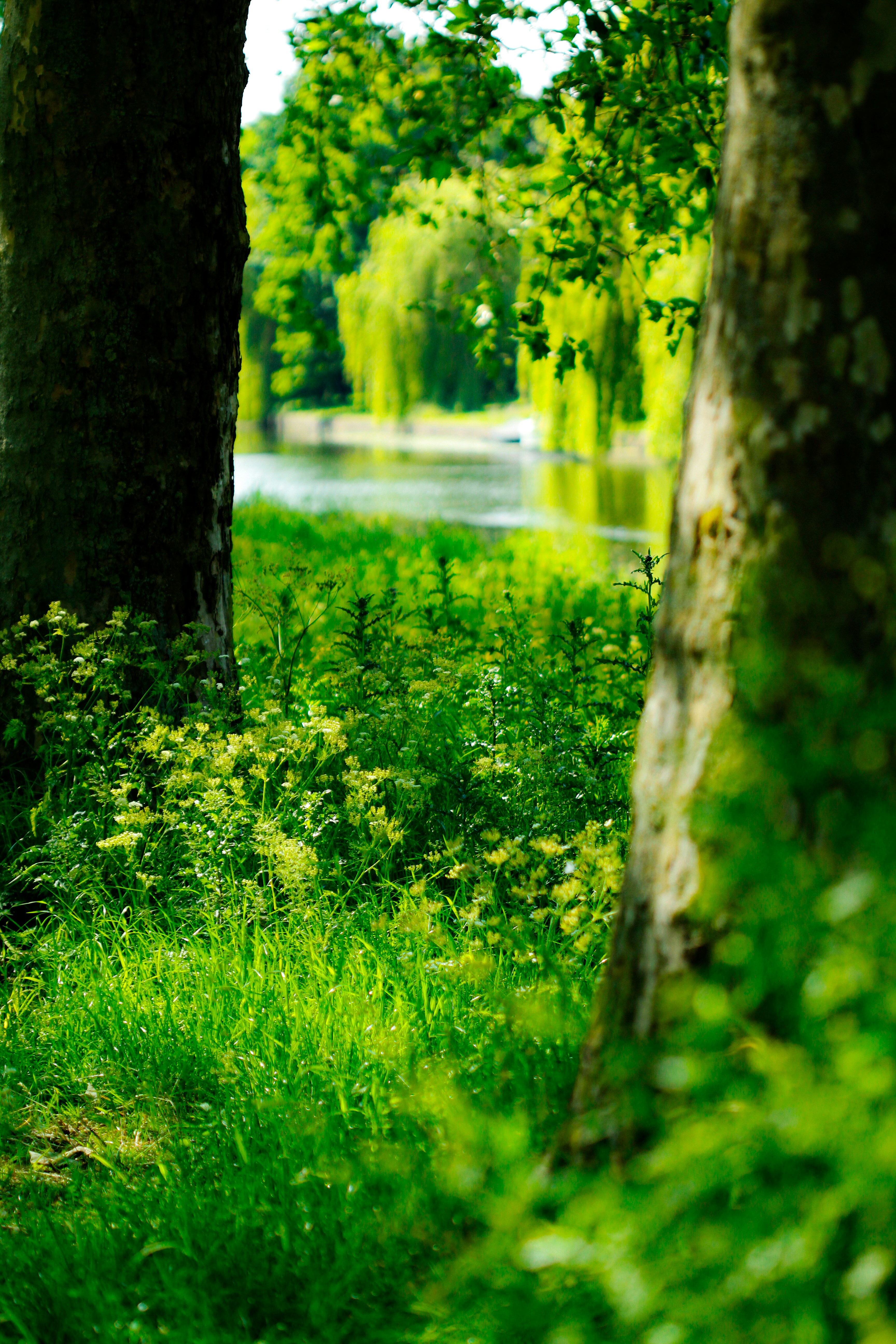 Photo by lapuertagela