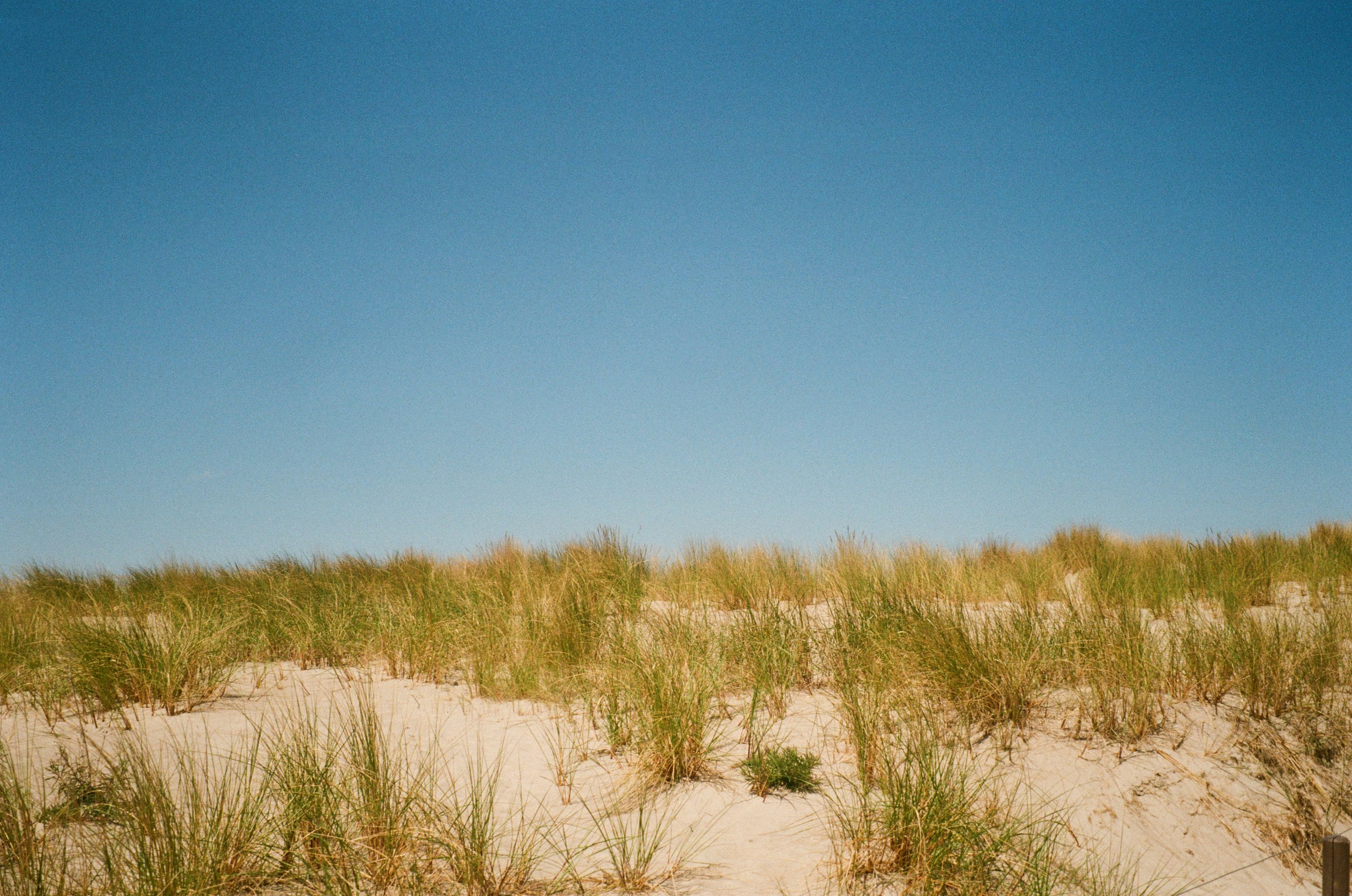 Photo by elinaverheles