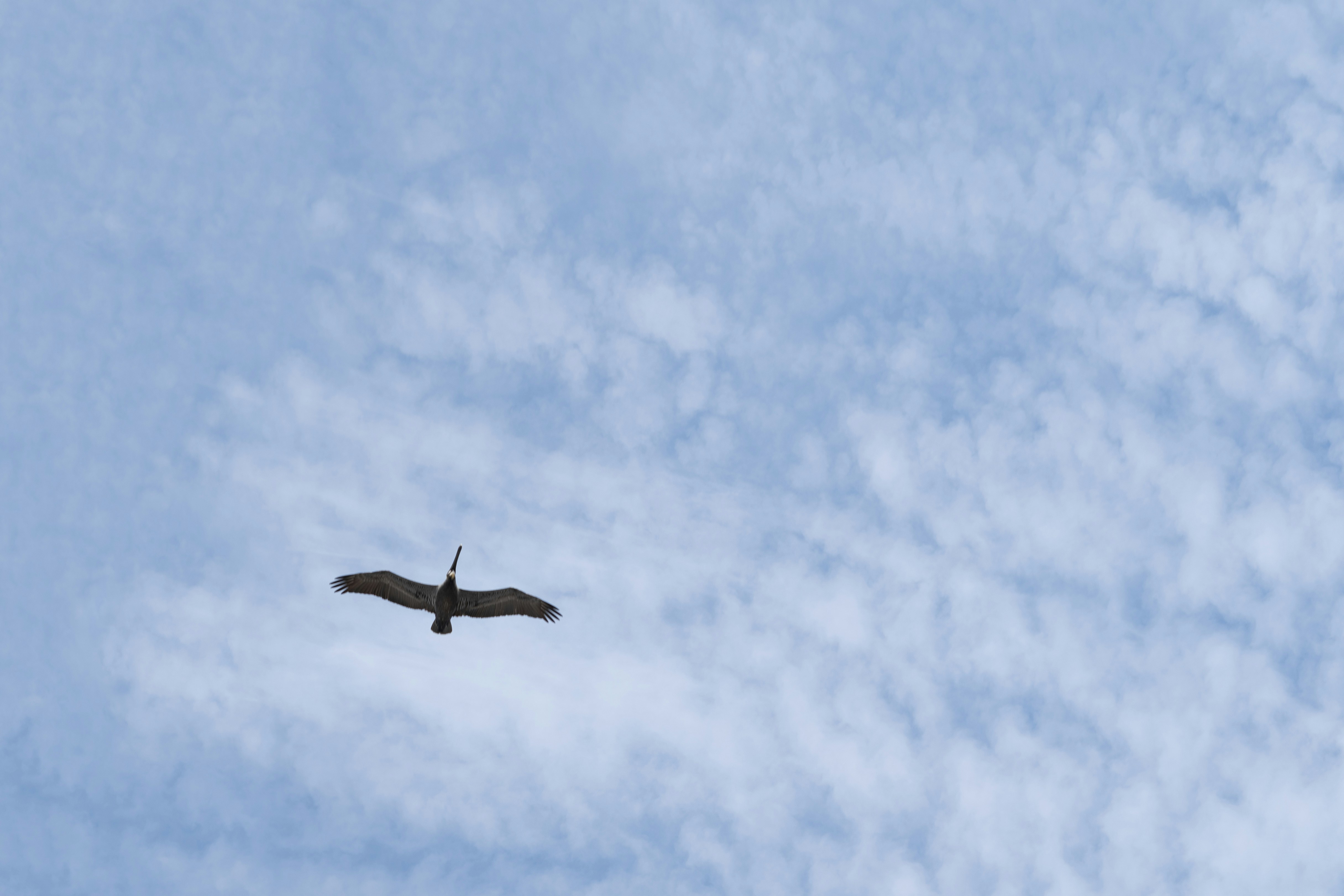 Photo by stevenvanelk