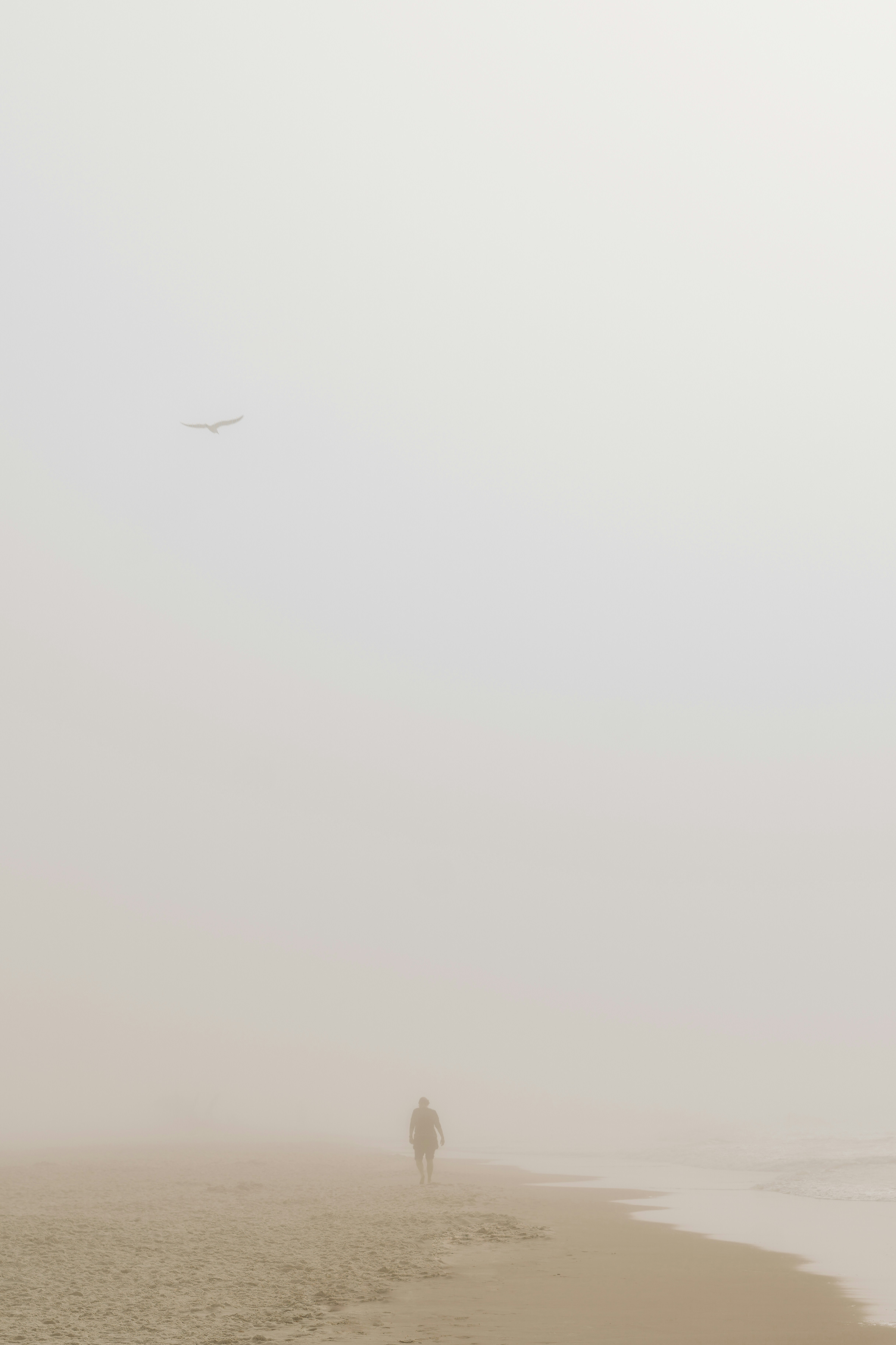 Photo by stevenvanelk
