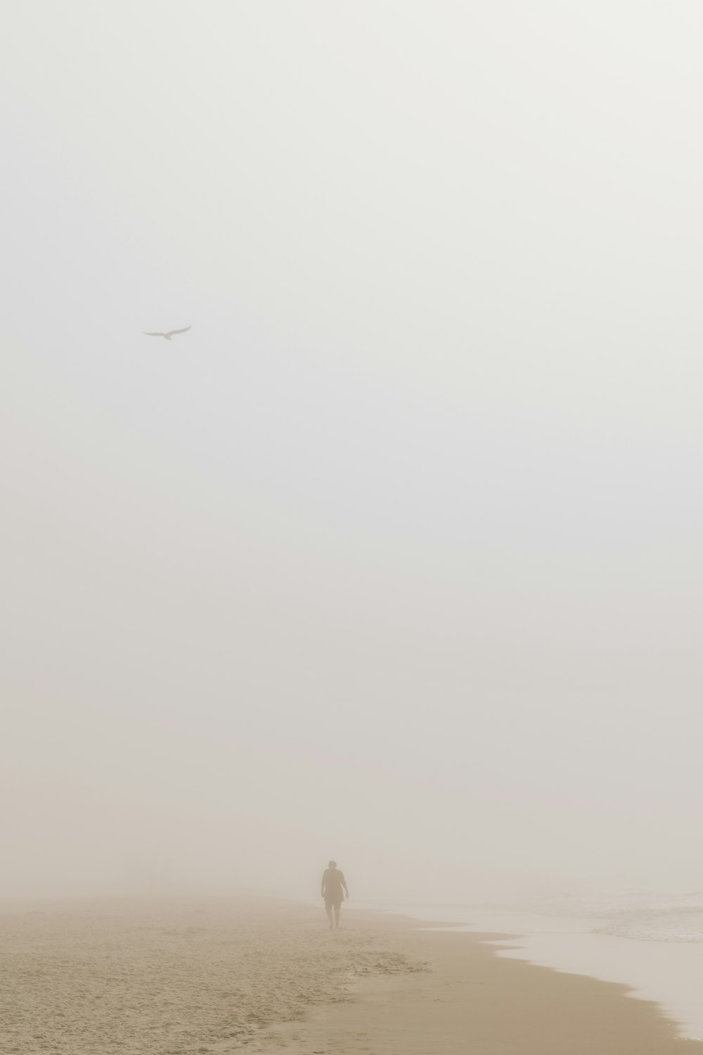 a person walking on a foggy beach with an airplane in the distance