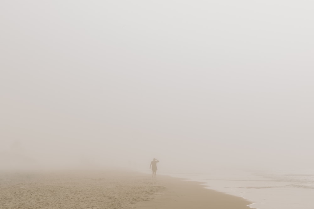 a person standing on a beach in the fog