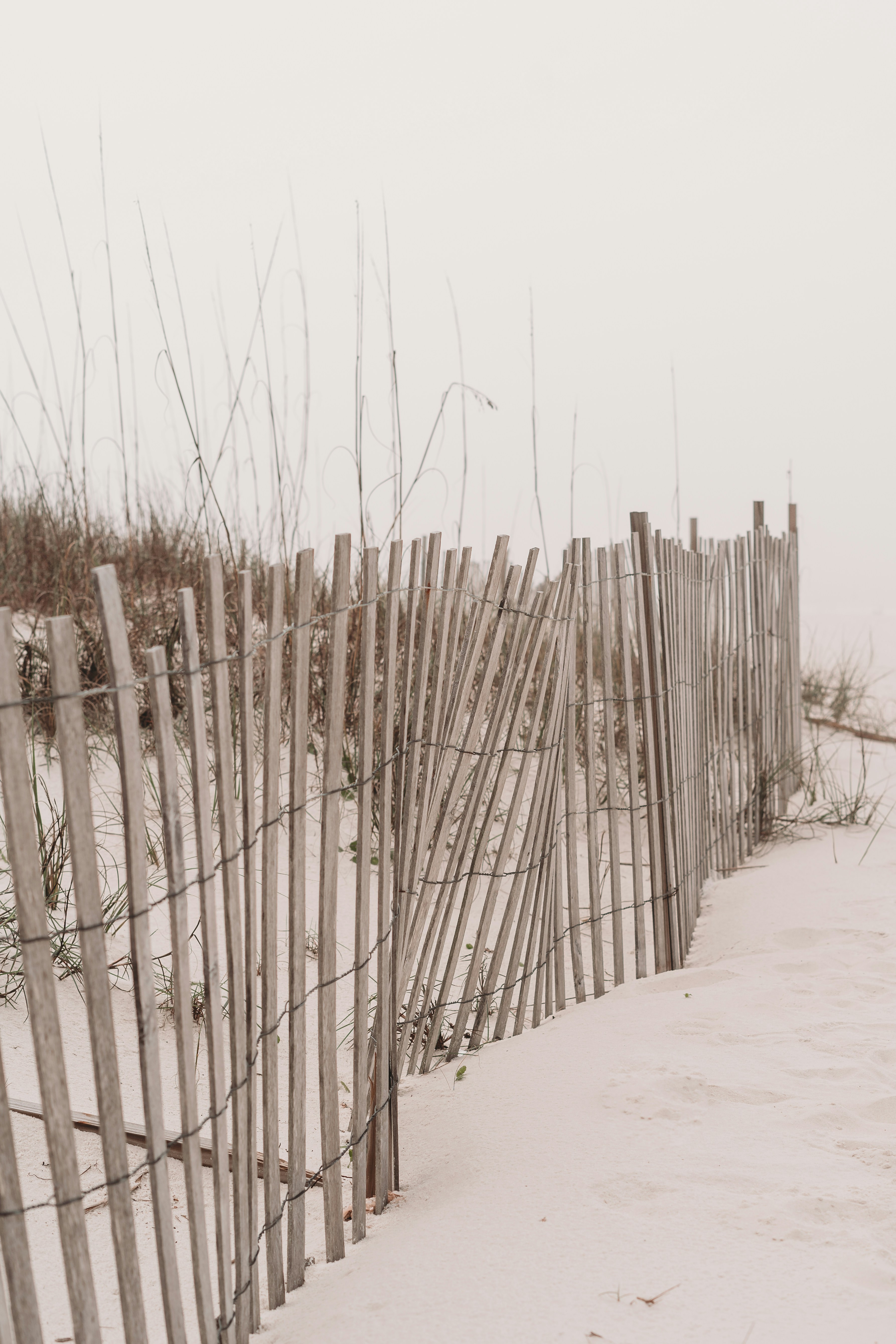 Photo by stevenvanelk