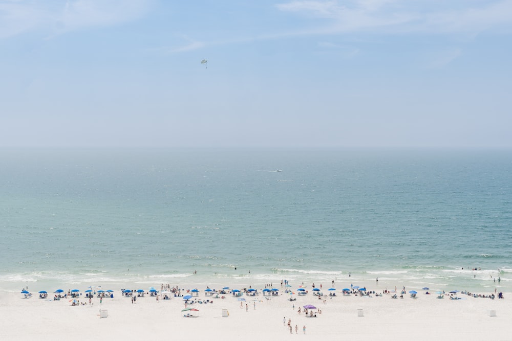 a group of people standing on top of a sandy beach