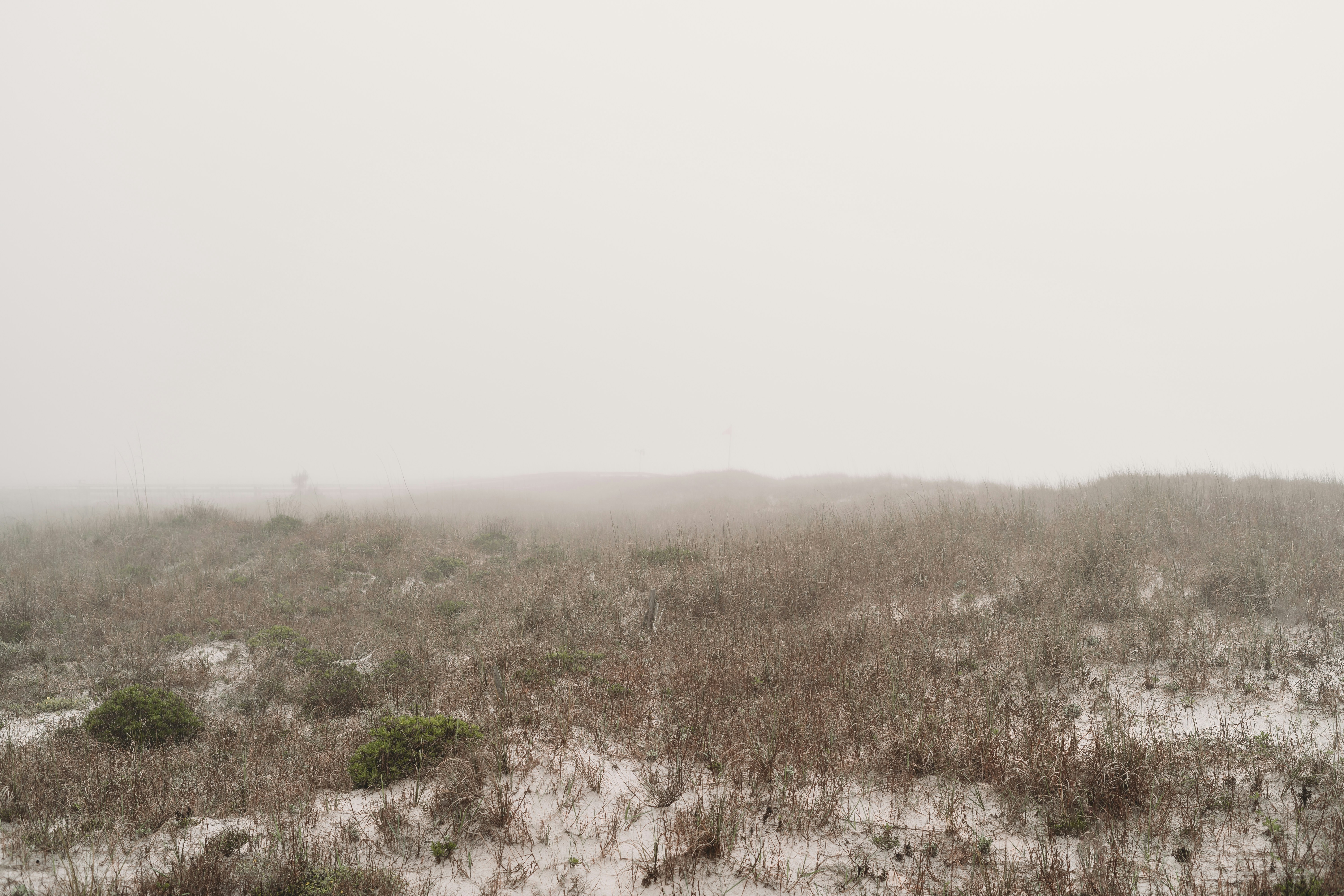 Photo by stevenvanelk