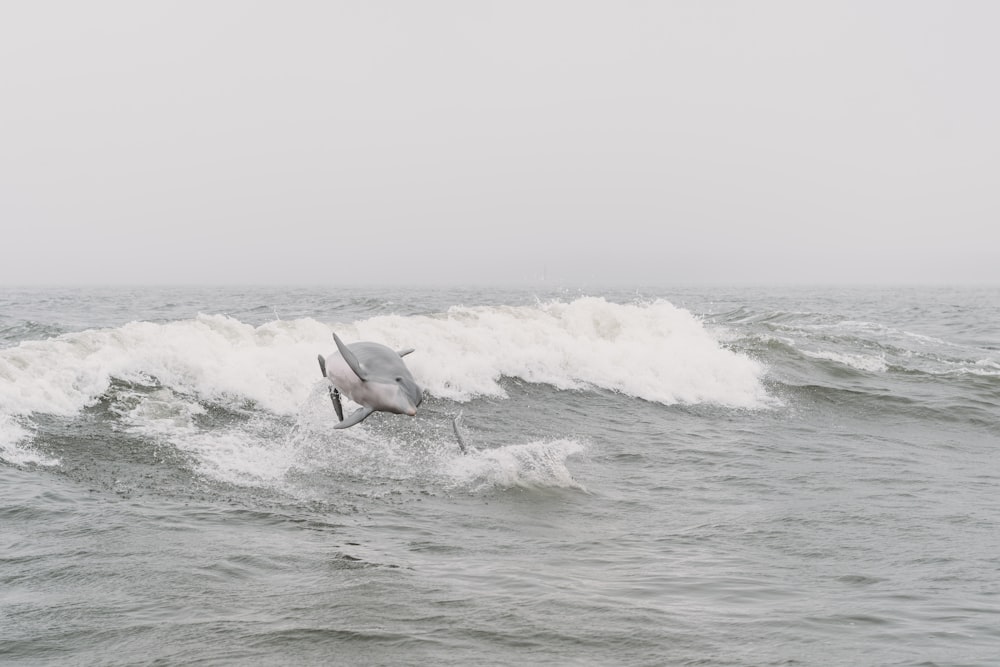 a bird flying over a wave in the ocean