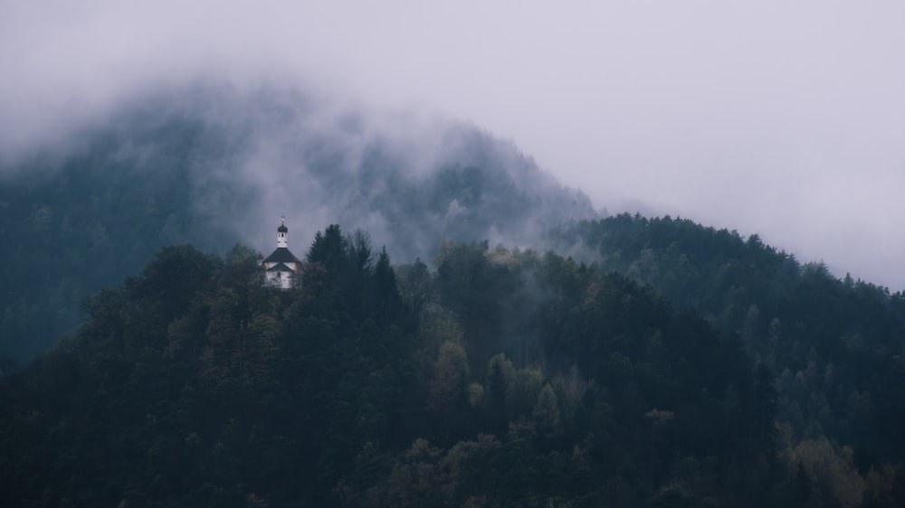 a clock tower on top of a mountain surrounded by trees