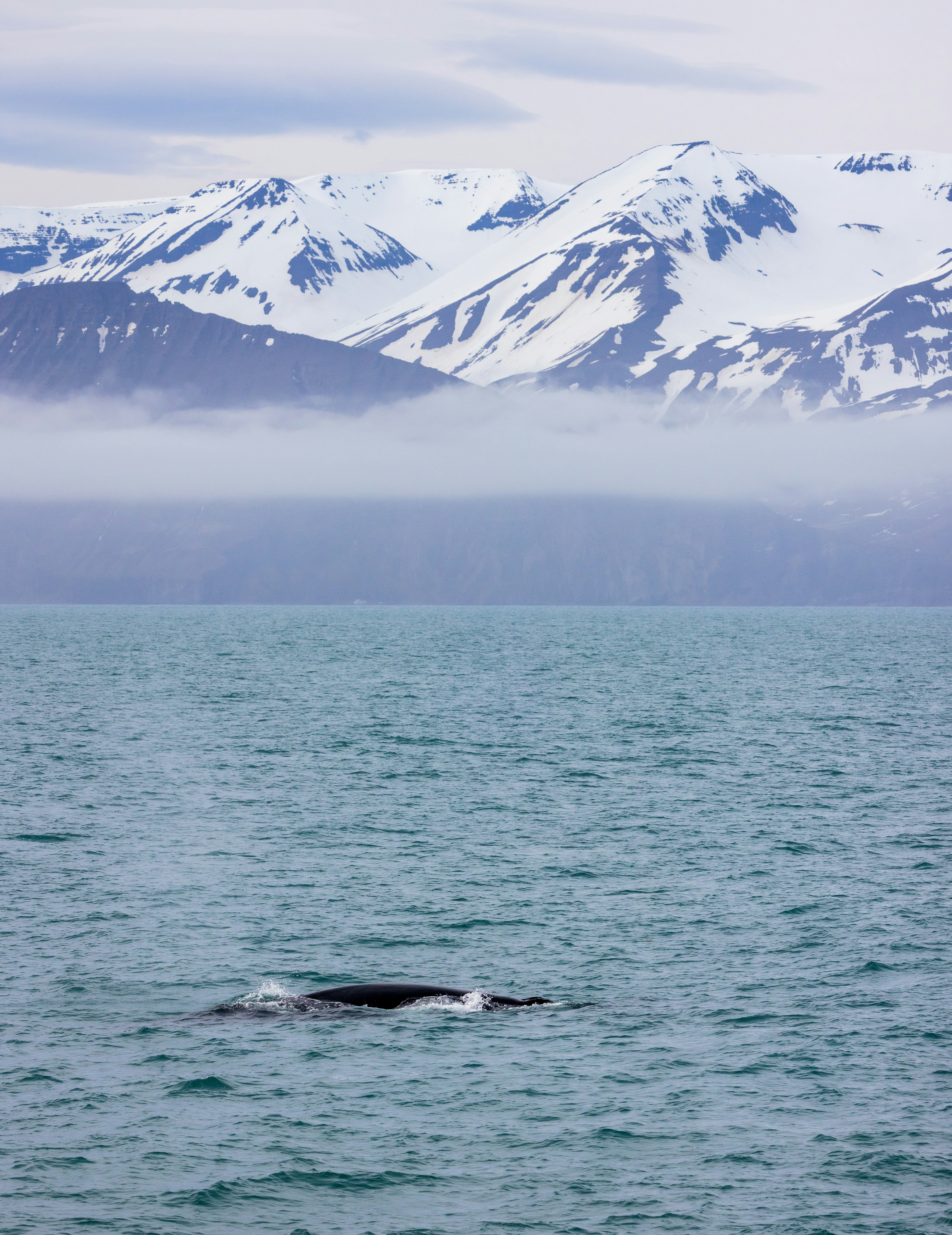 a large body of water with mountains in the background