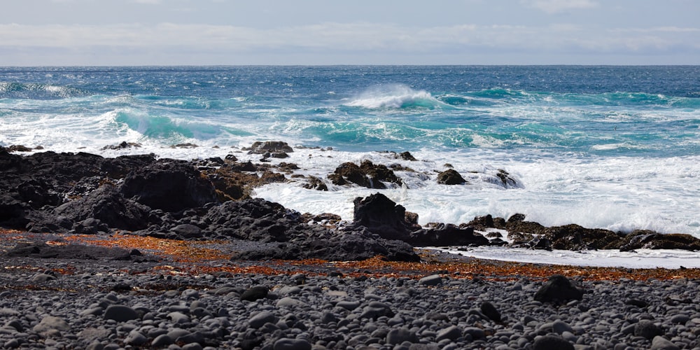 a rocky beach with a body of water in the background