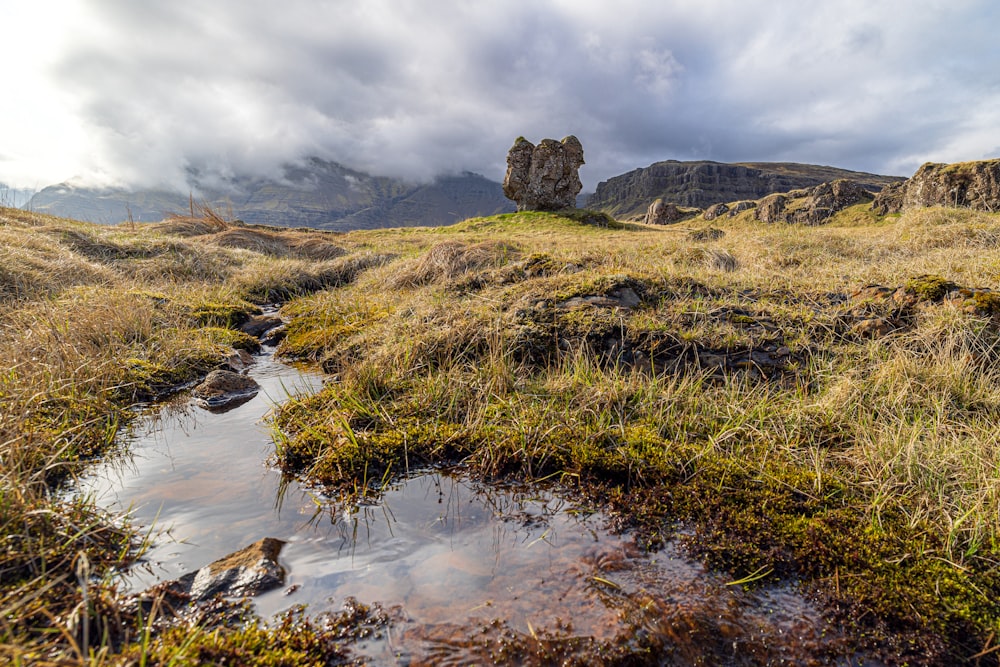 a small stream running through a grass covered field