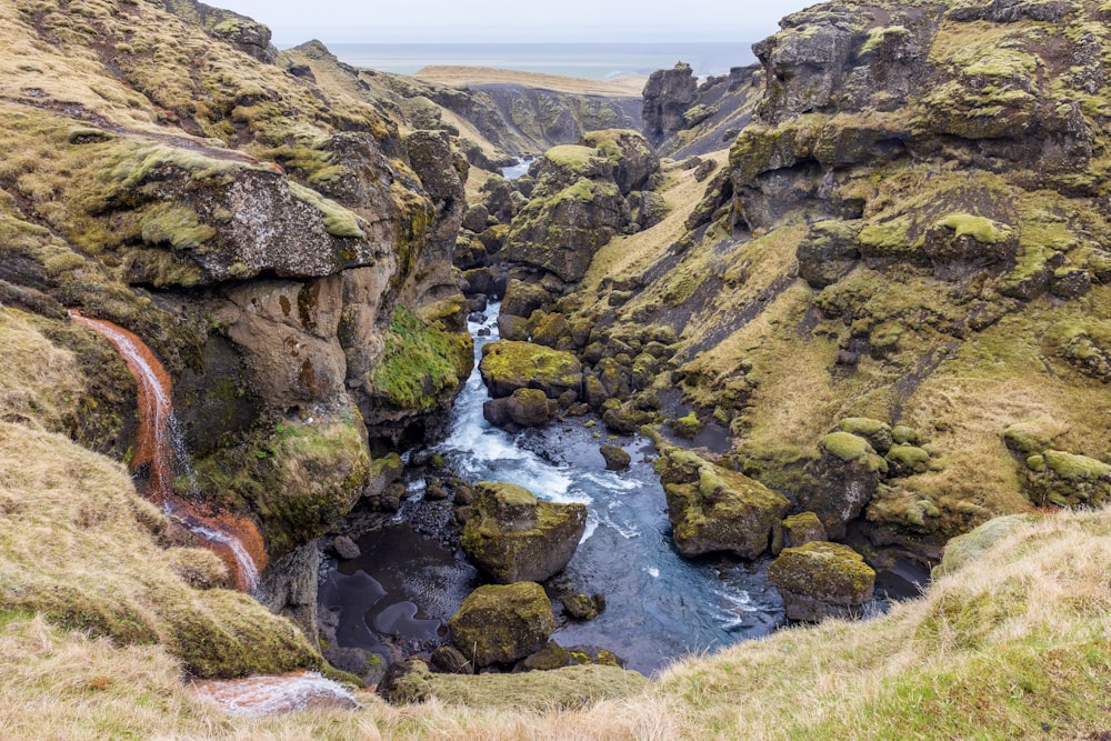 a river flowing through a lush green valley