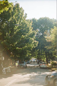 A welcoming neighborhood street with families enjoying a sunny afternoon.
