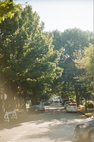 A peaceful Portland neighborhood street with sunlight filtering through trees.