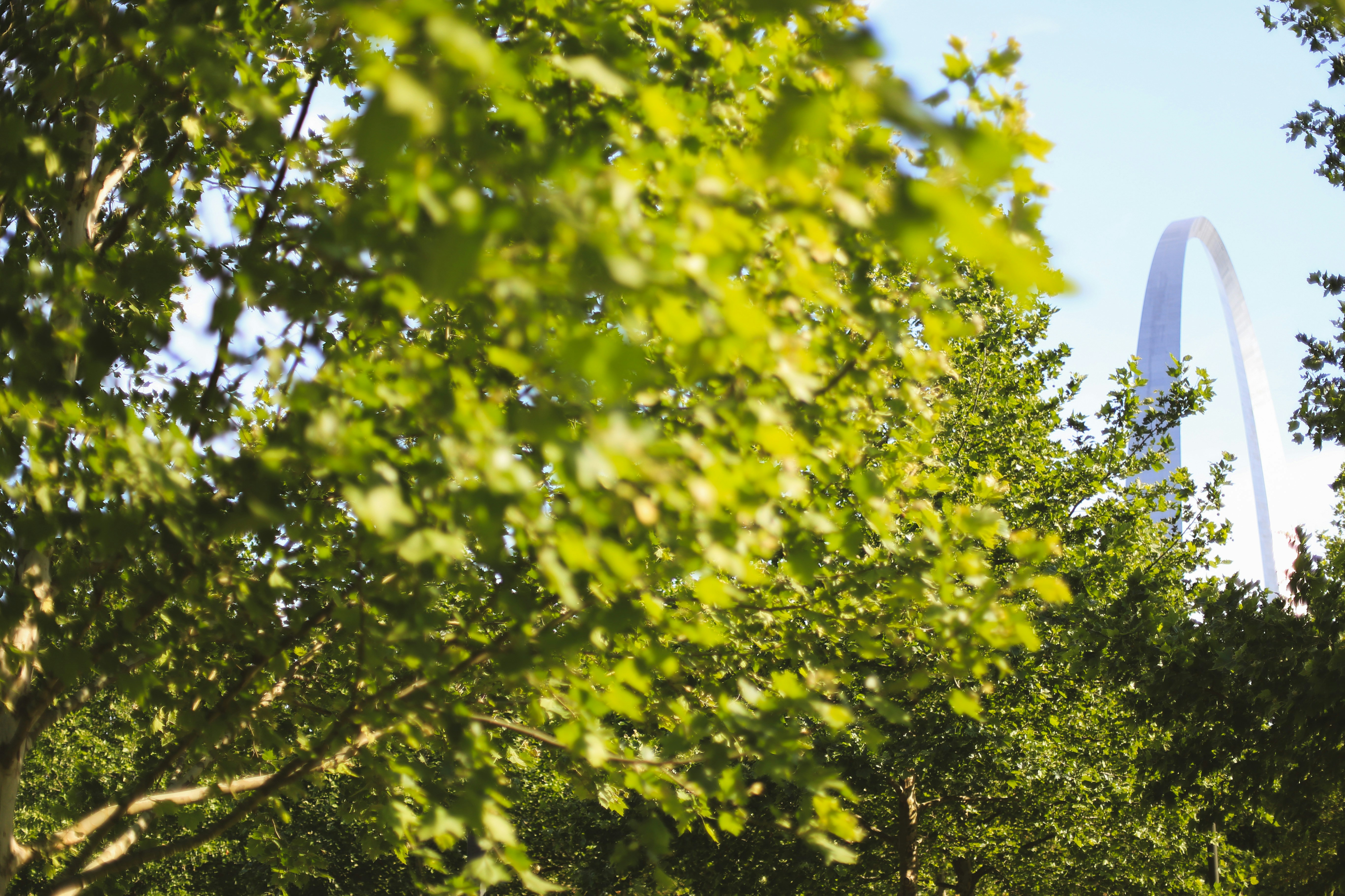 Photo by jessicalfadel