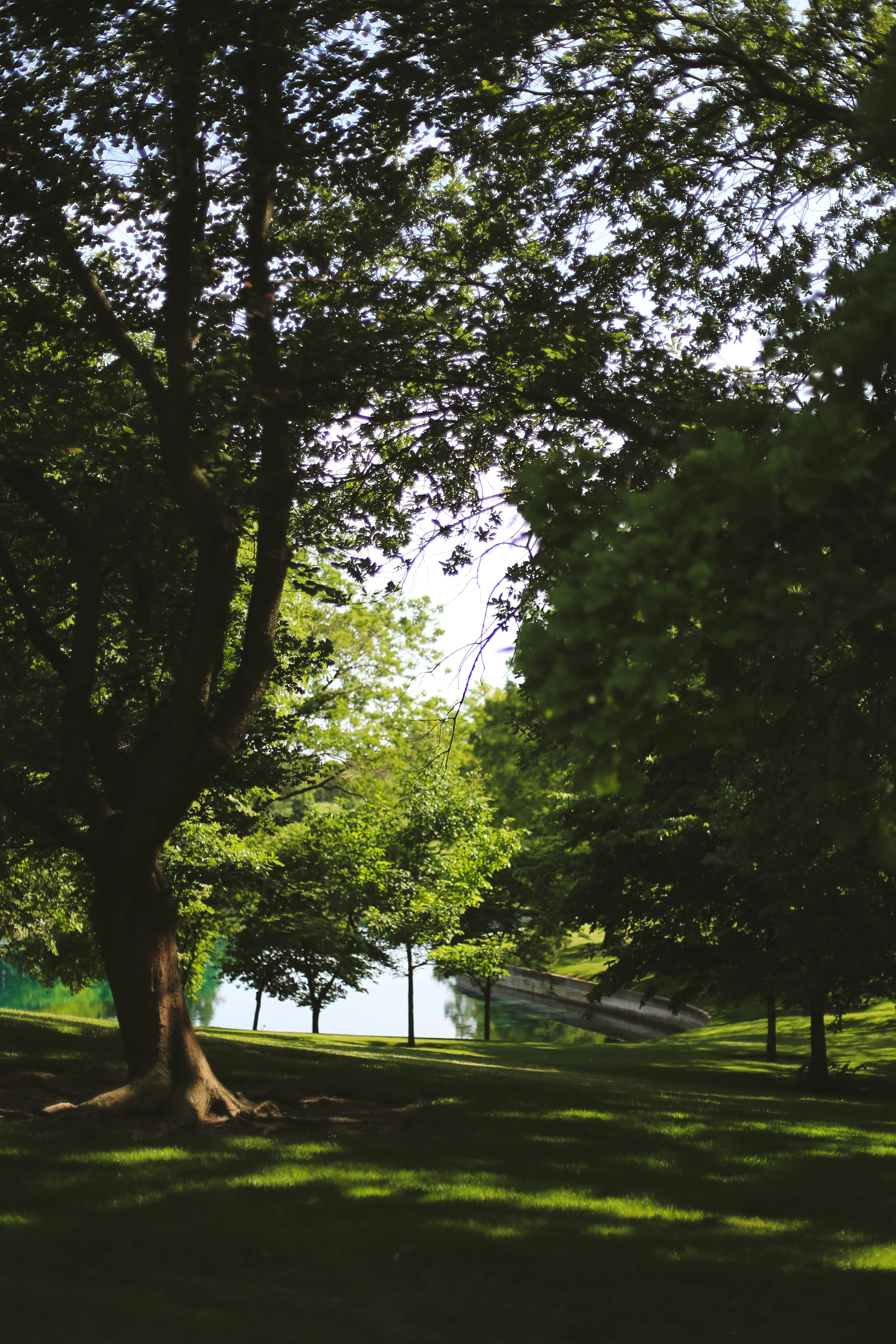 Photo by jessicalfadel