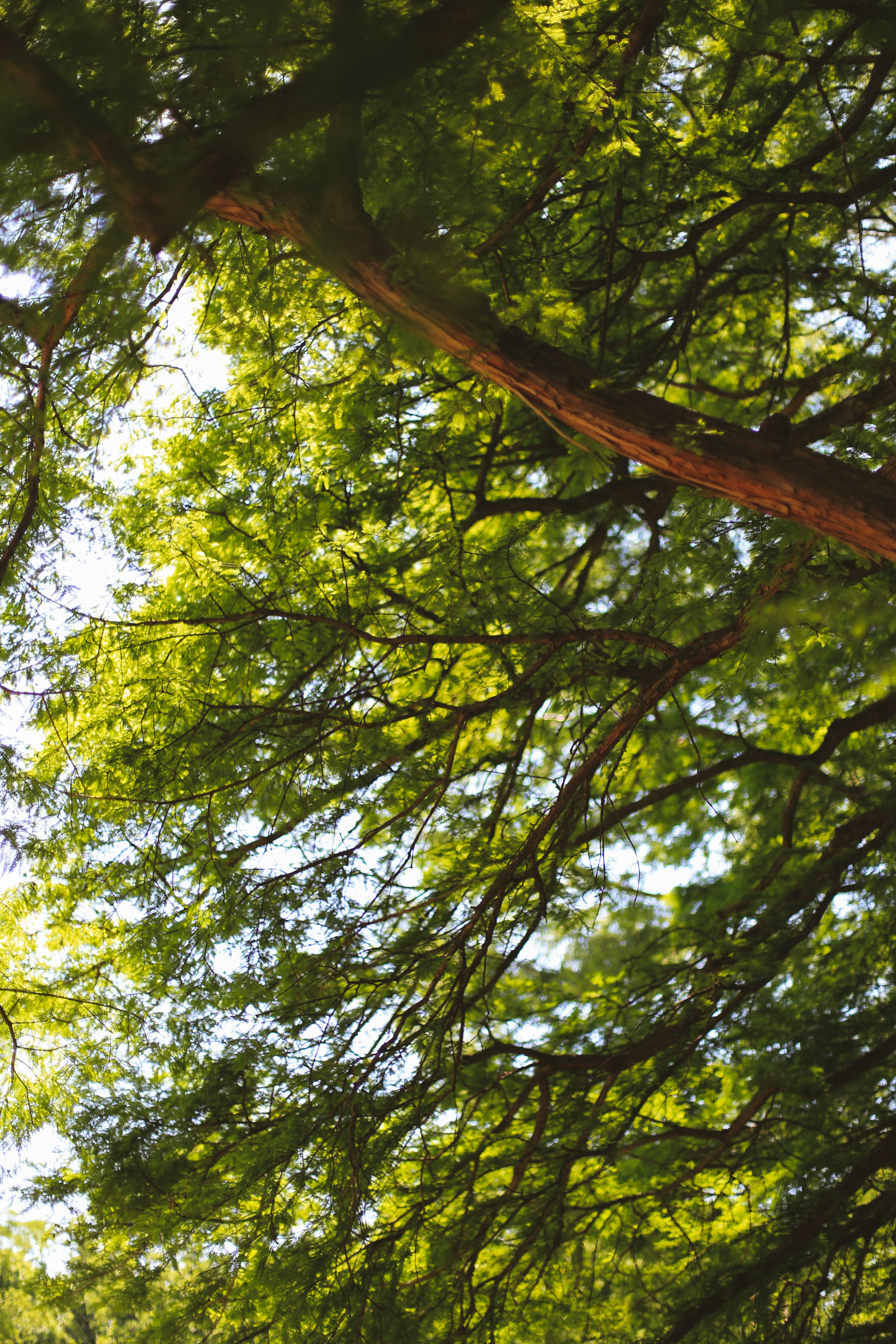 Photo by jessicalfadel