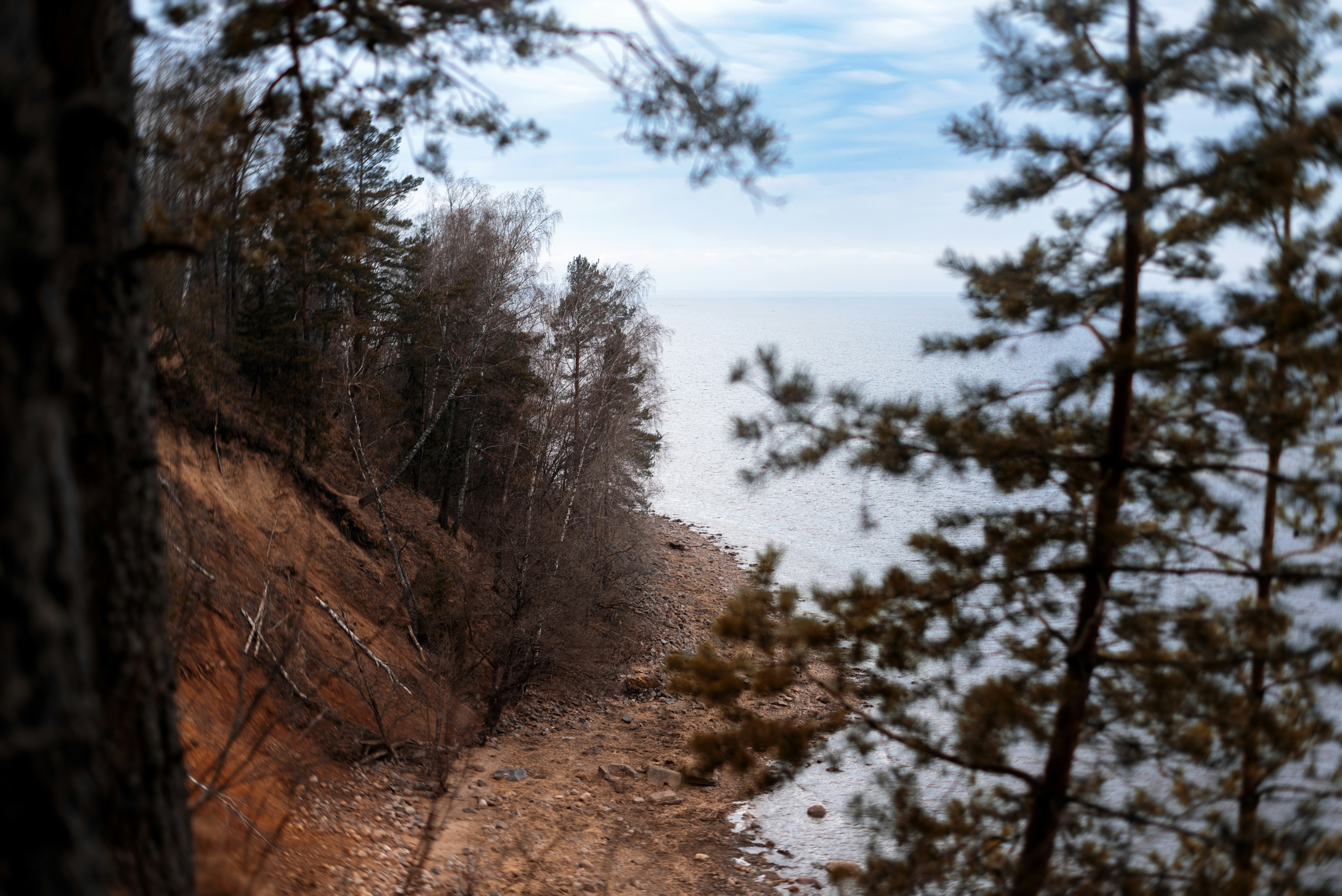 Photo by vadutskevich
