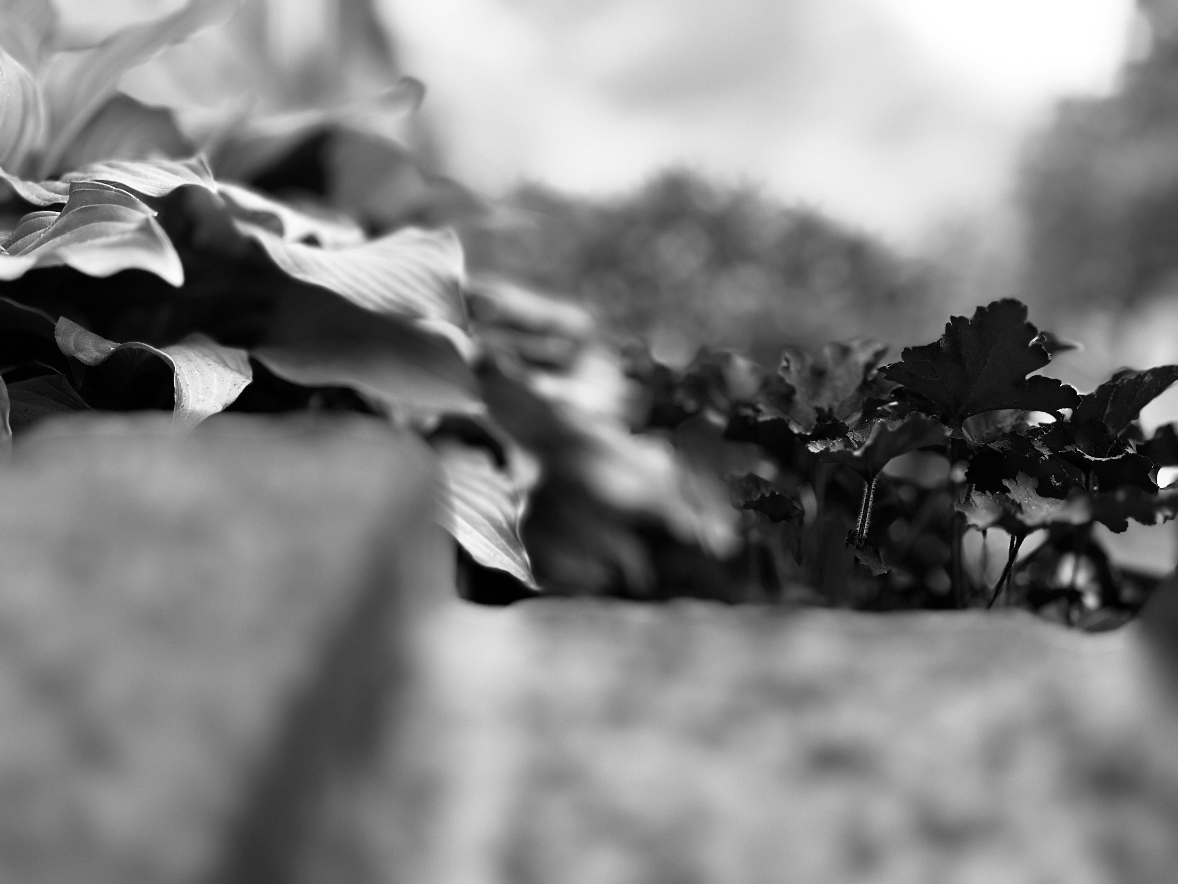 Photo by burnedkitty