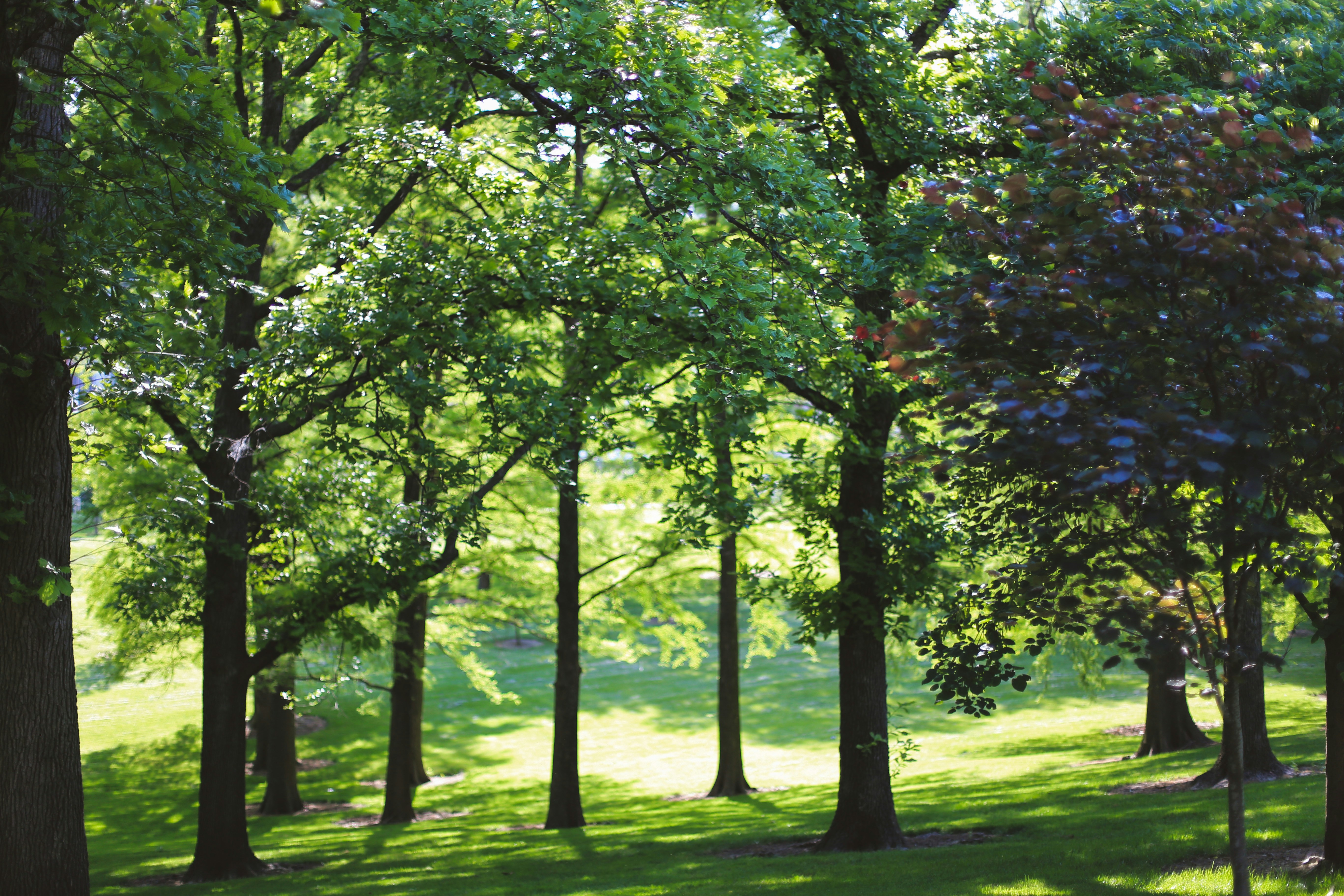 Photo by jessicalfadel