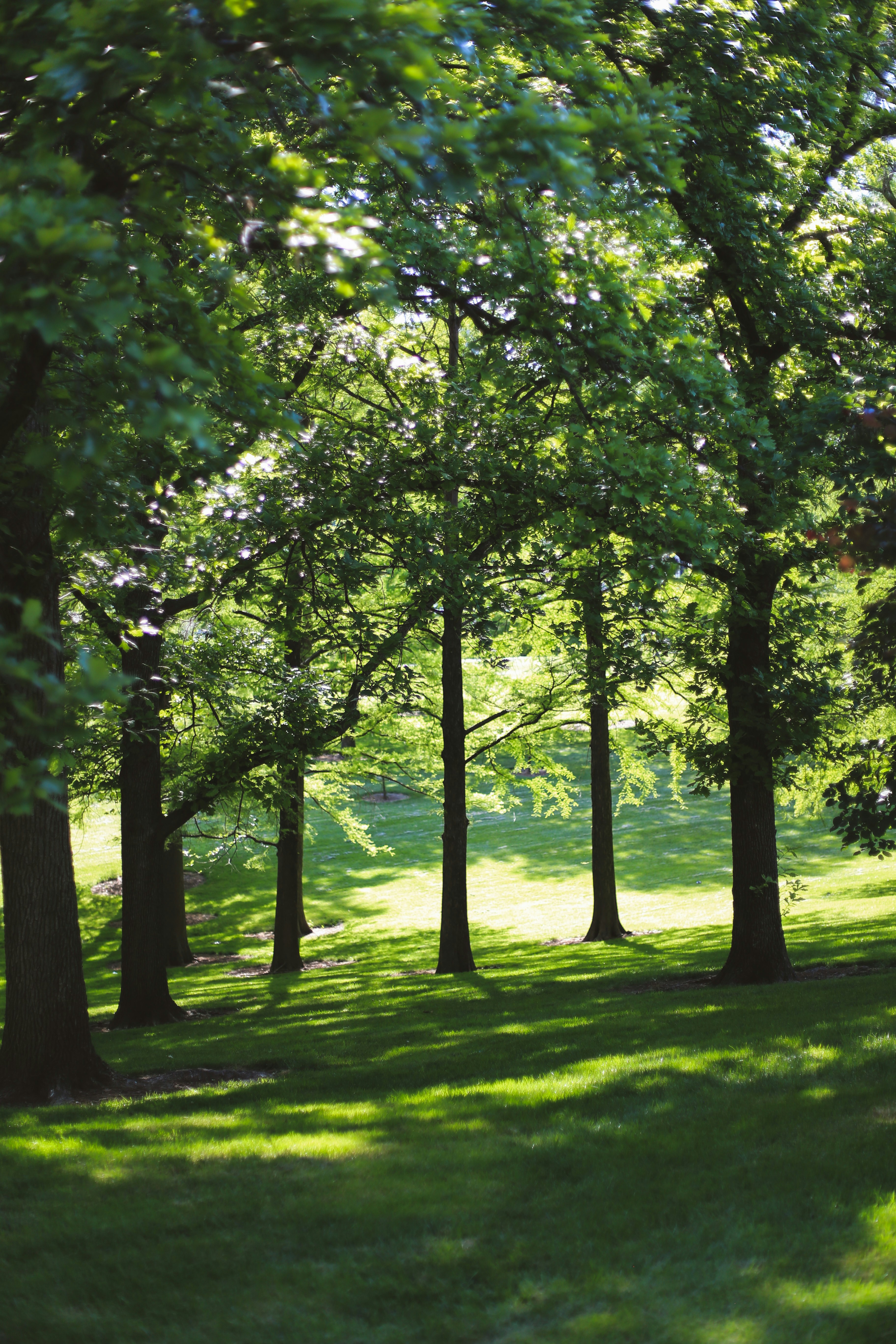 Photo by jessicalfadel