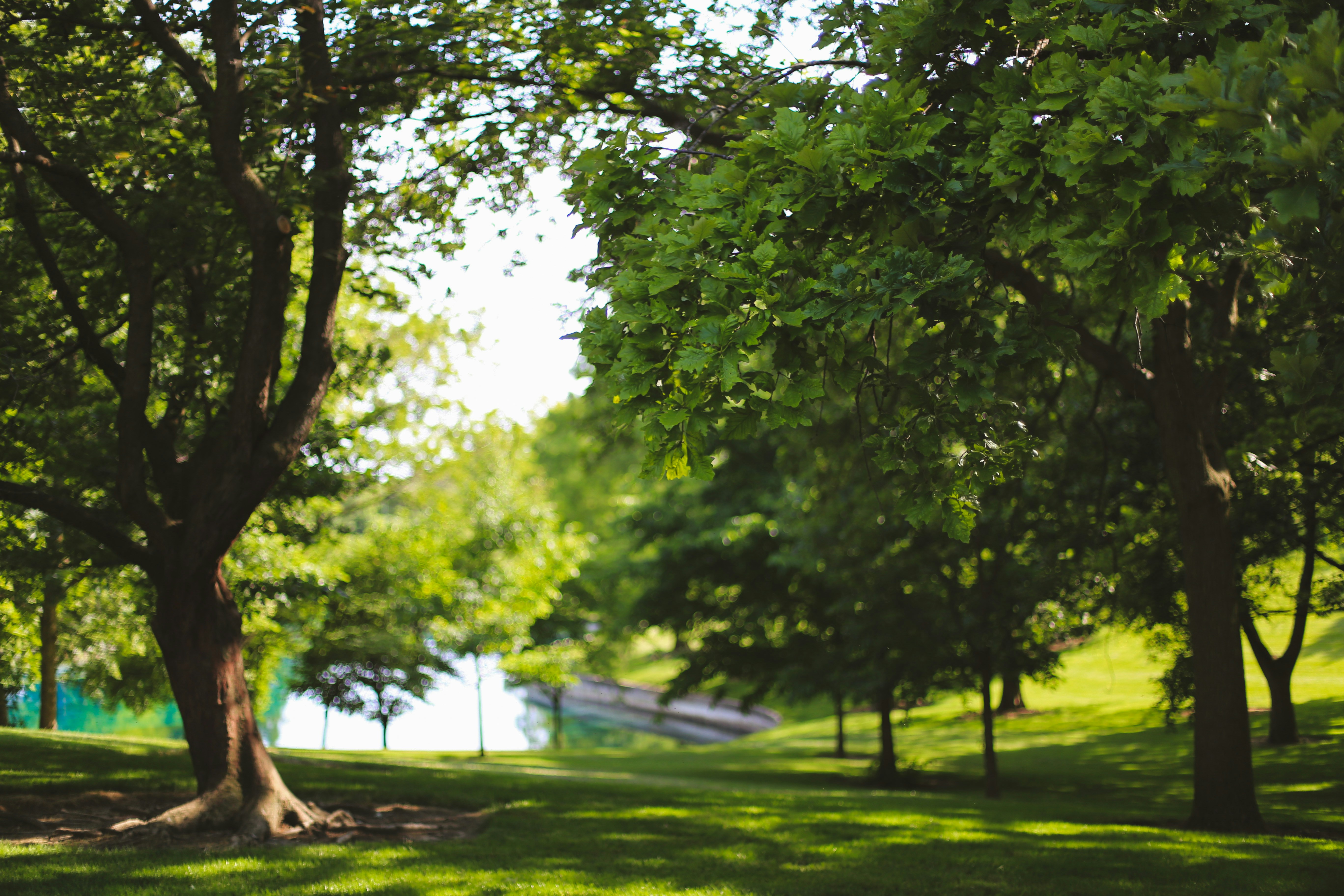 Photo by jessicalfadel