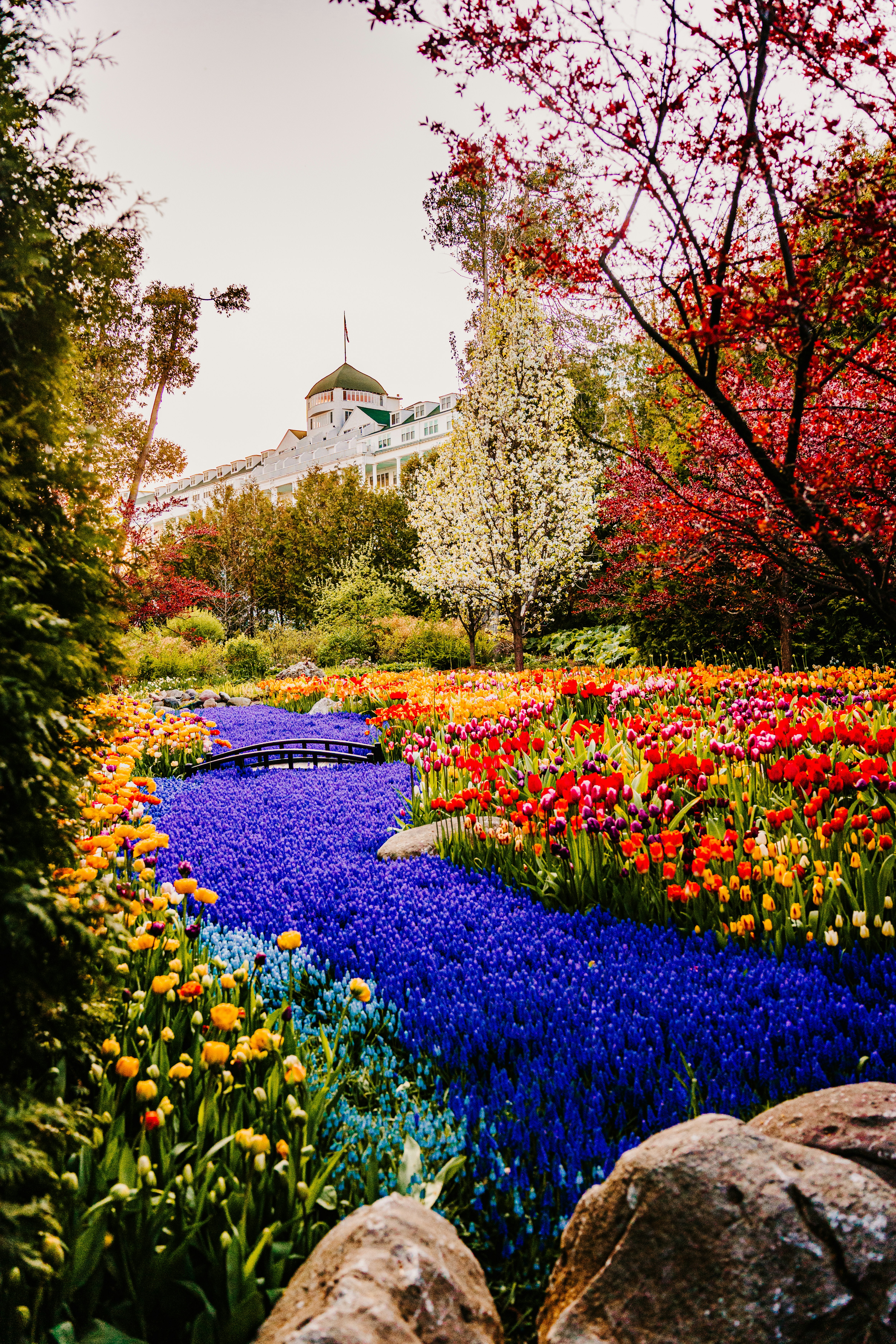 a colorful garden with lots of flowers and trees