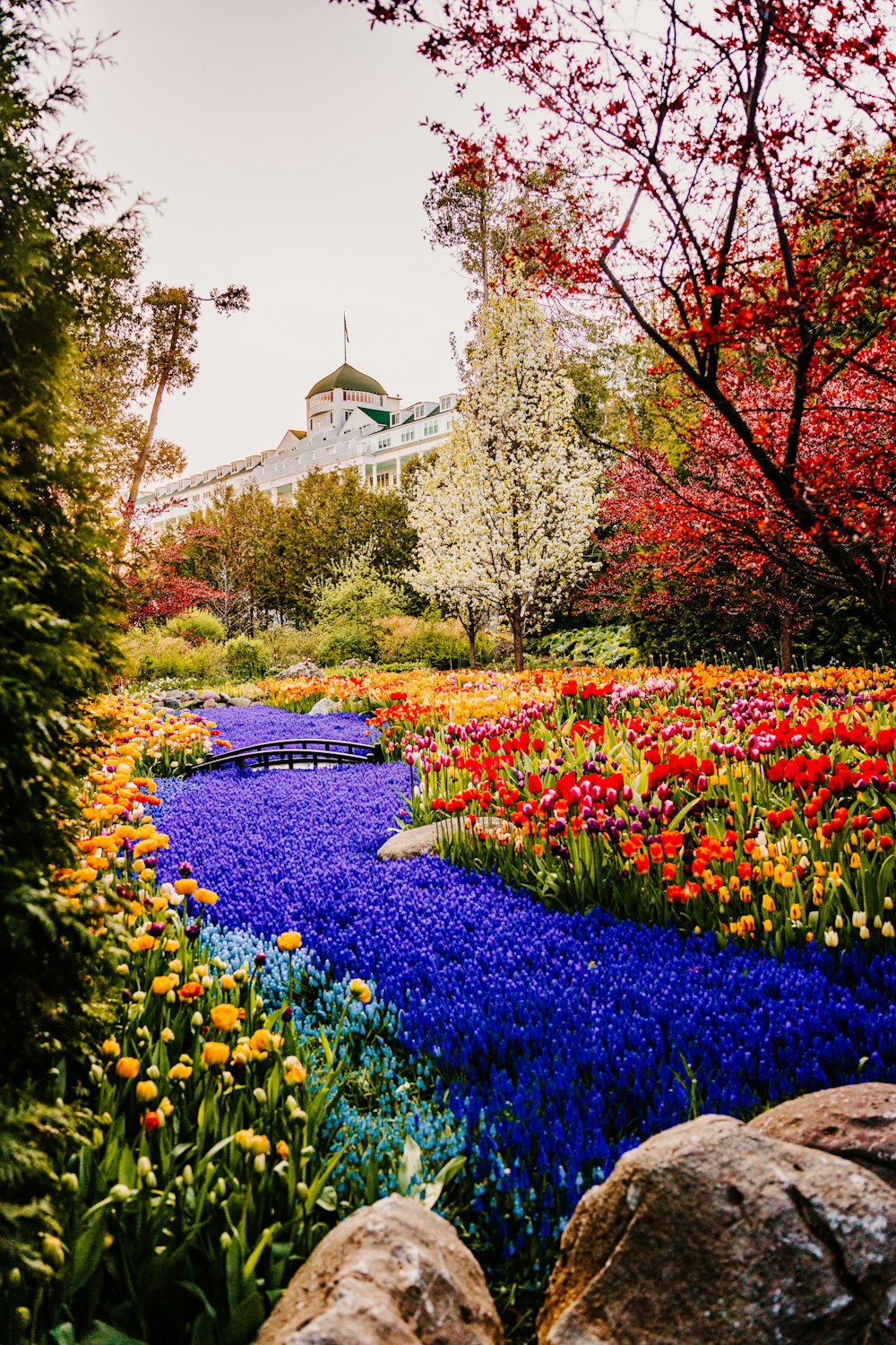 Um jardim colorido com muitas flores e árvores