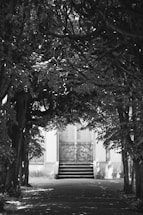 Warm photo of the school entrance framed by native Australian plants under soft sunlight.