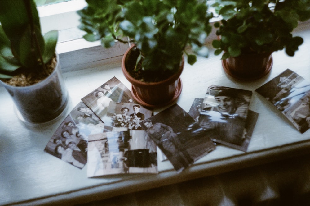a table topped with potted plants and pictures