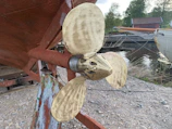 Crew member replacing a damaged propeller on a ship’s hull.