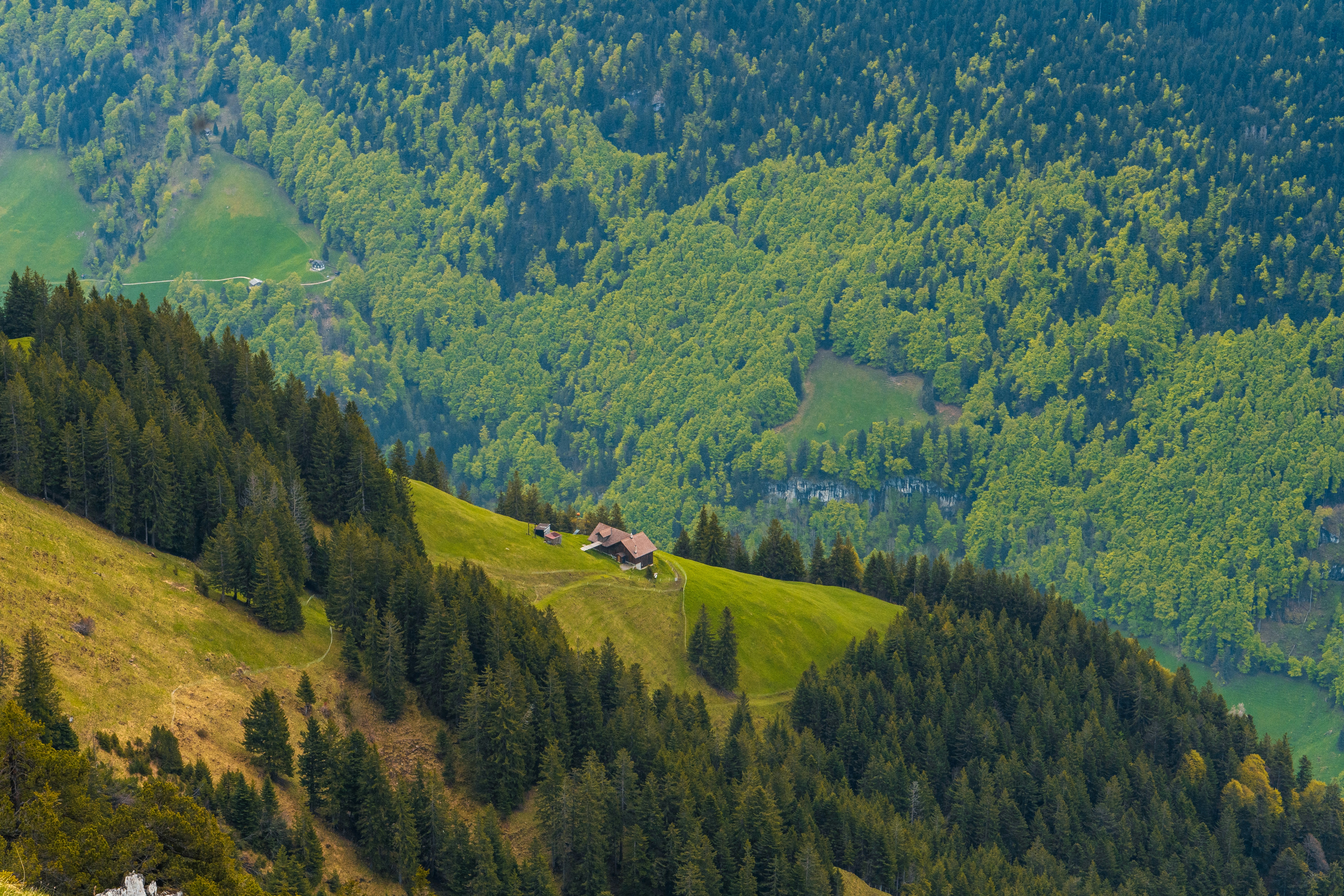 Photo by jana_soumyadip