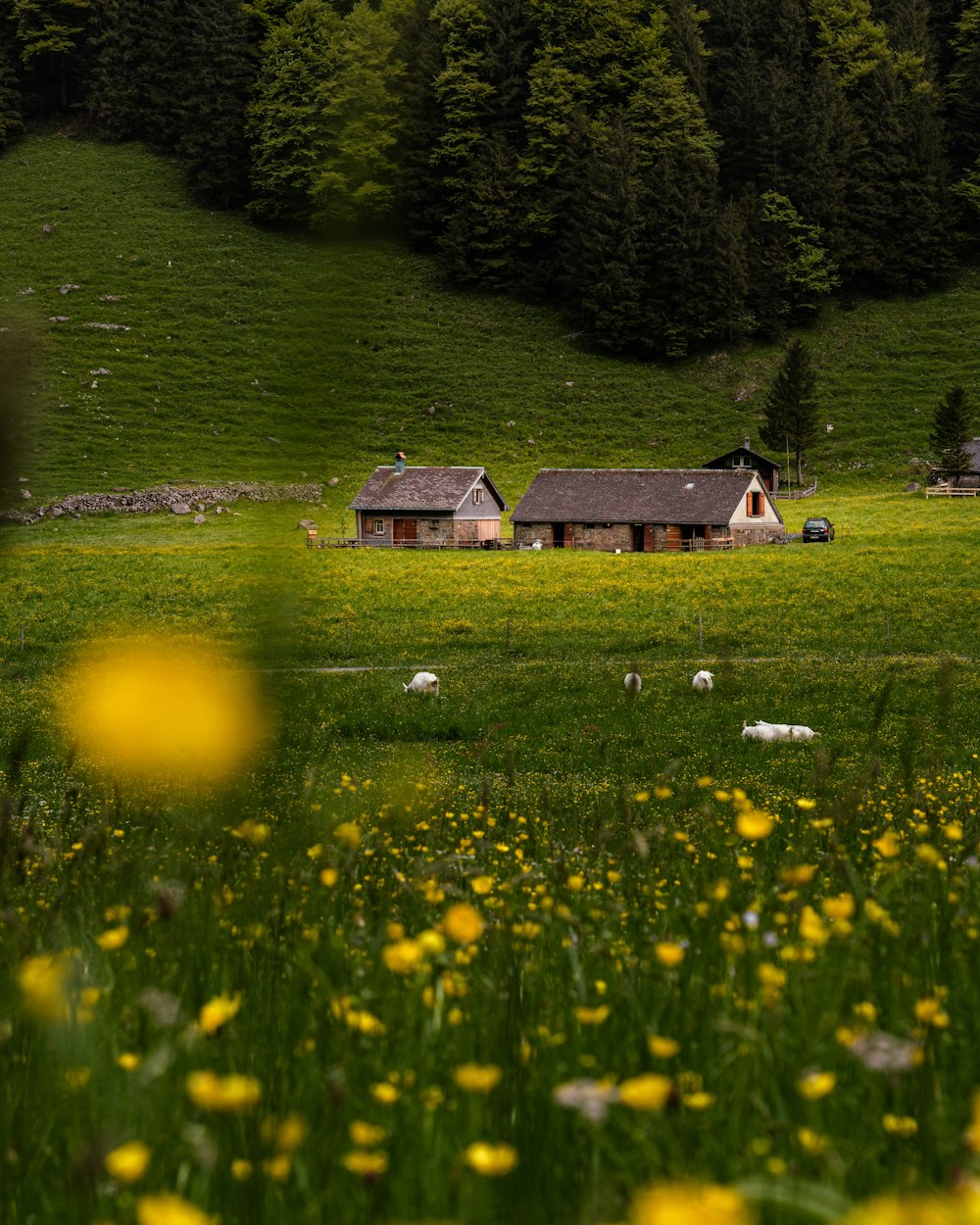 a farm house in the middle of a green field