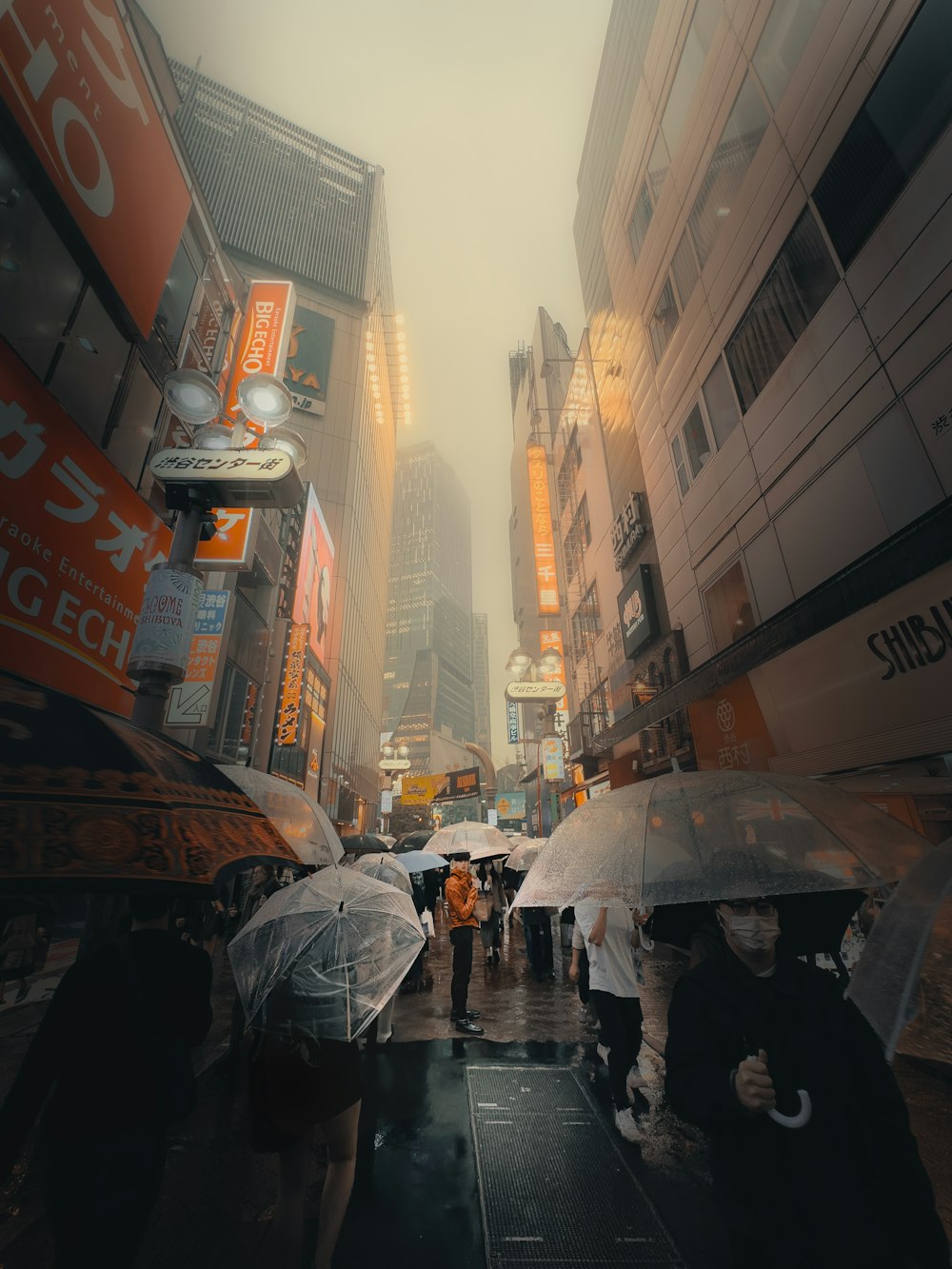 우산을 들고 거리를 걷고 있는 한 무리의 사람들