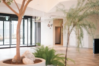 A spacious, modern interior with large glass doors leading outside. The room features potted plants with rocks and ferns adding a touch of nature. The flooring is wooden, and the walls are light-colored with minimalist decor.