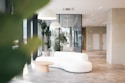 a white couch sitting in a living room next to a plant