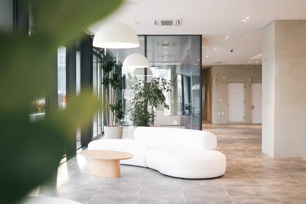 a white couch sitting in a living room next to a plant