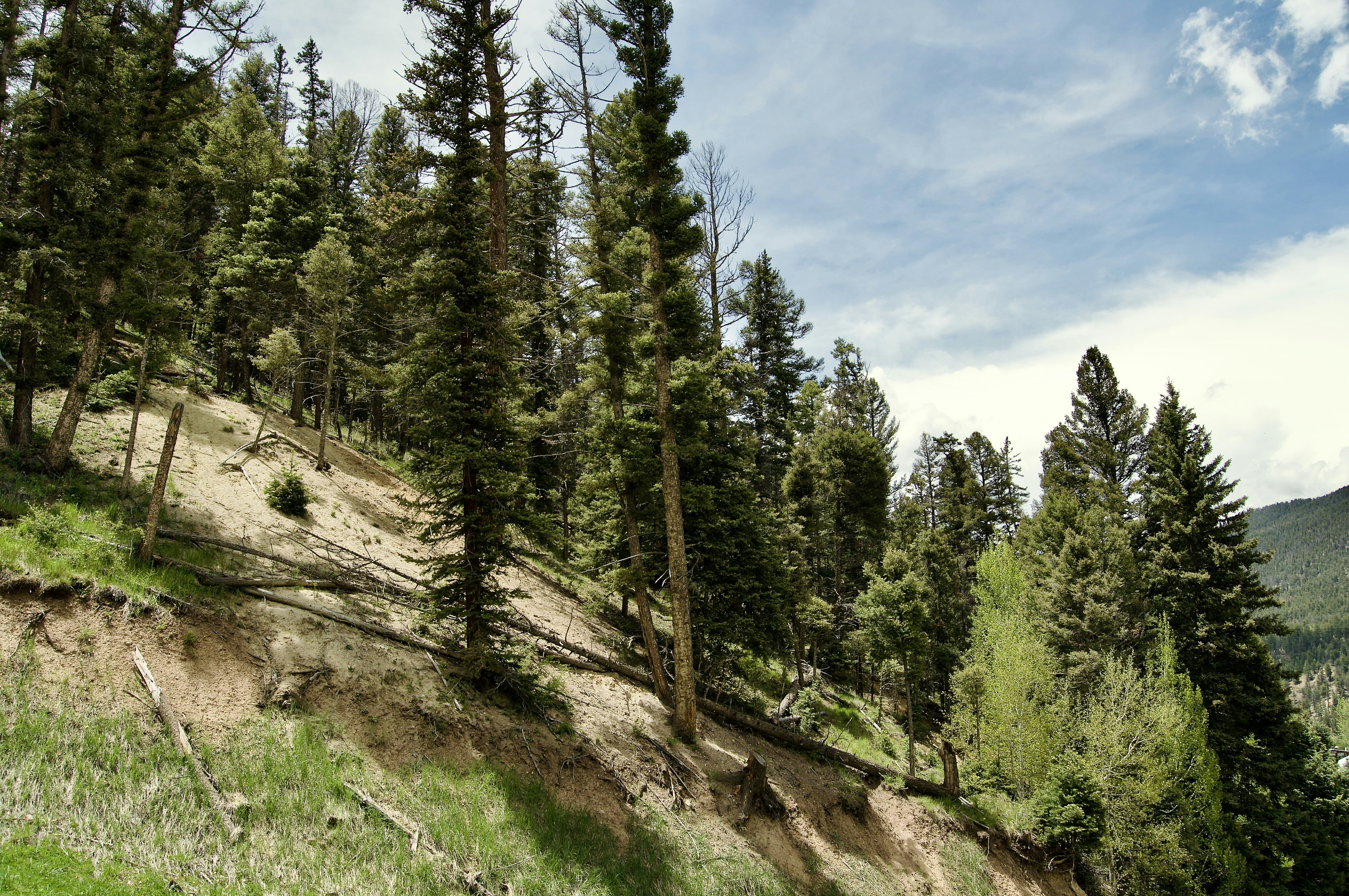 Photo by alexanderphotography